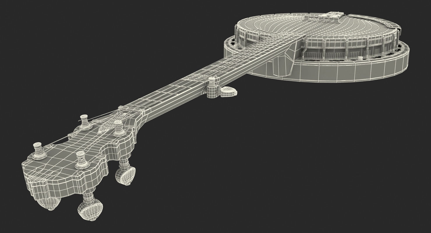 3D Julia Belle 5 String Banjo