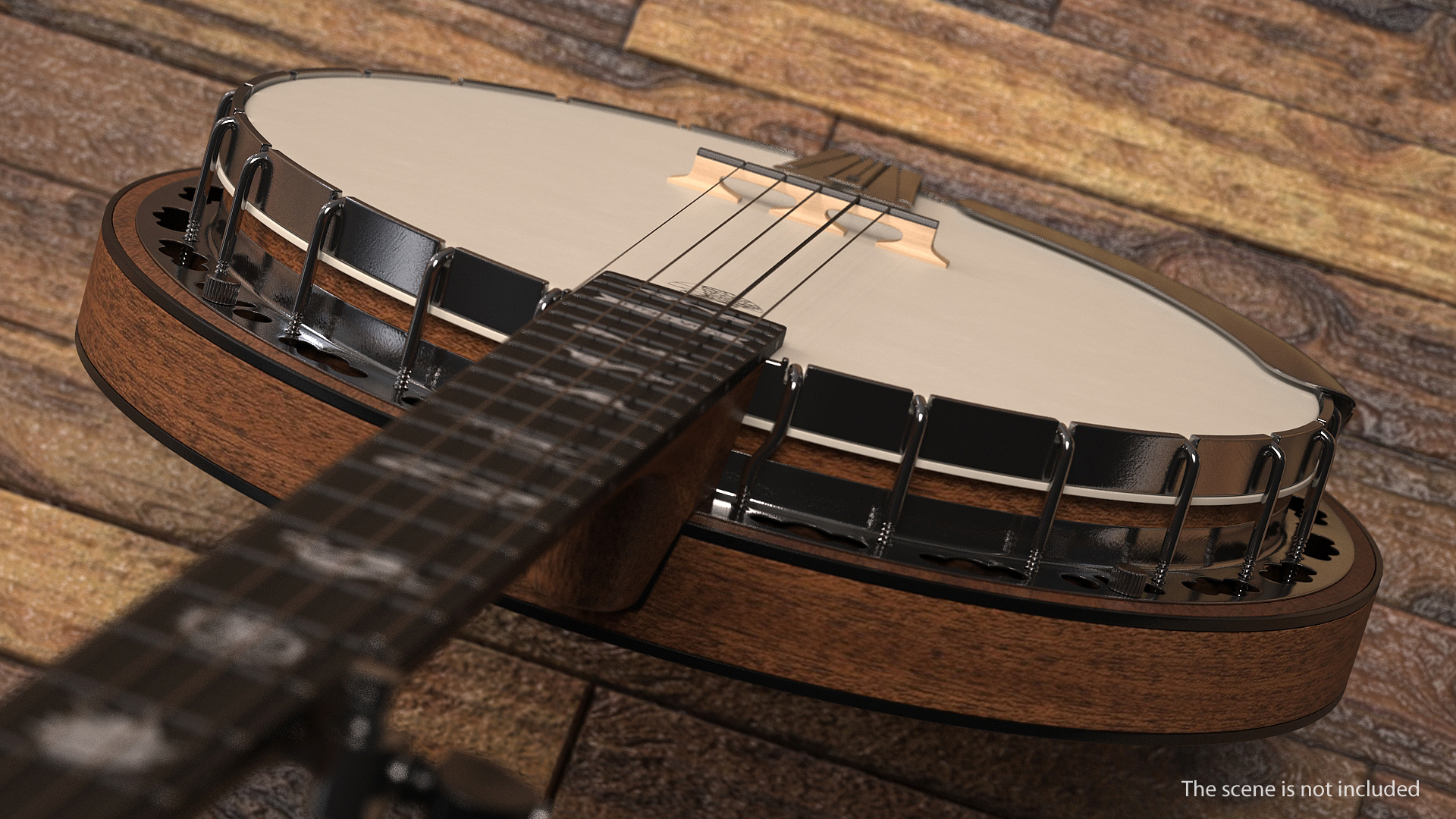 3D Julia Belle 5 String Banjo