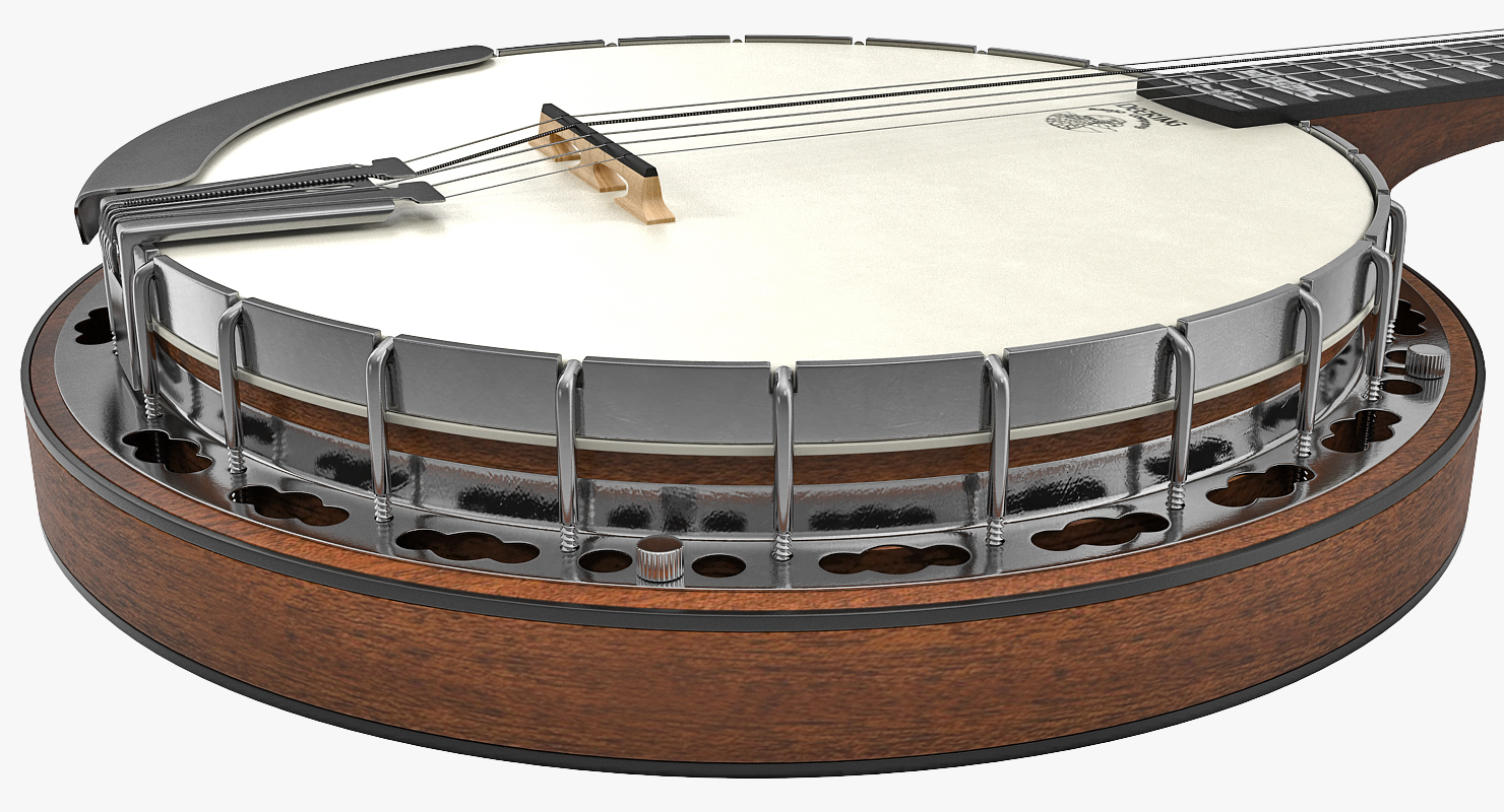 3D Julia Belle 5 String Banjo
