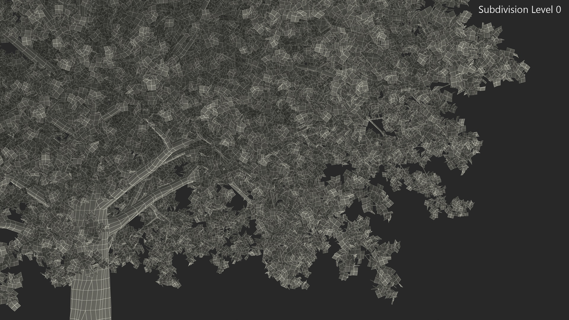Autumn Maple Tree 3D