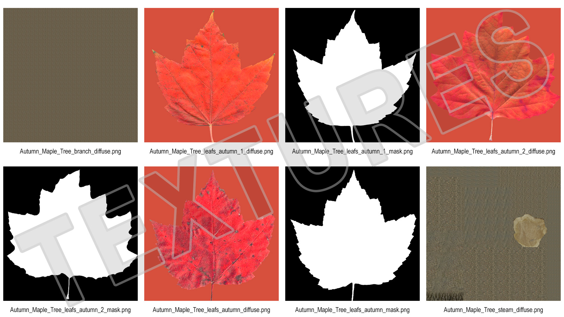 Autumn Maple Tree 3D