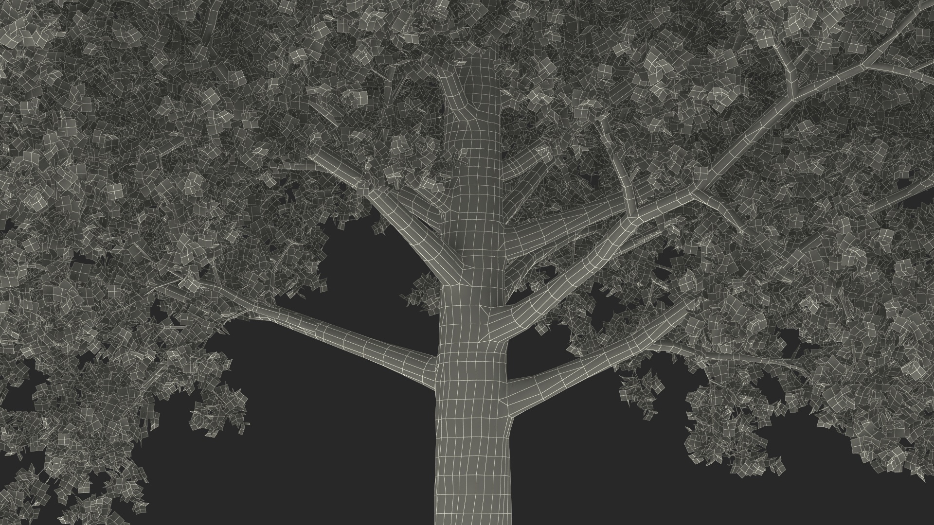 Autumn Maple Tree 3D