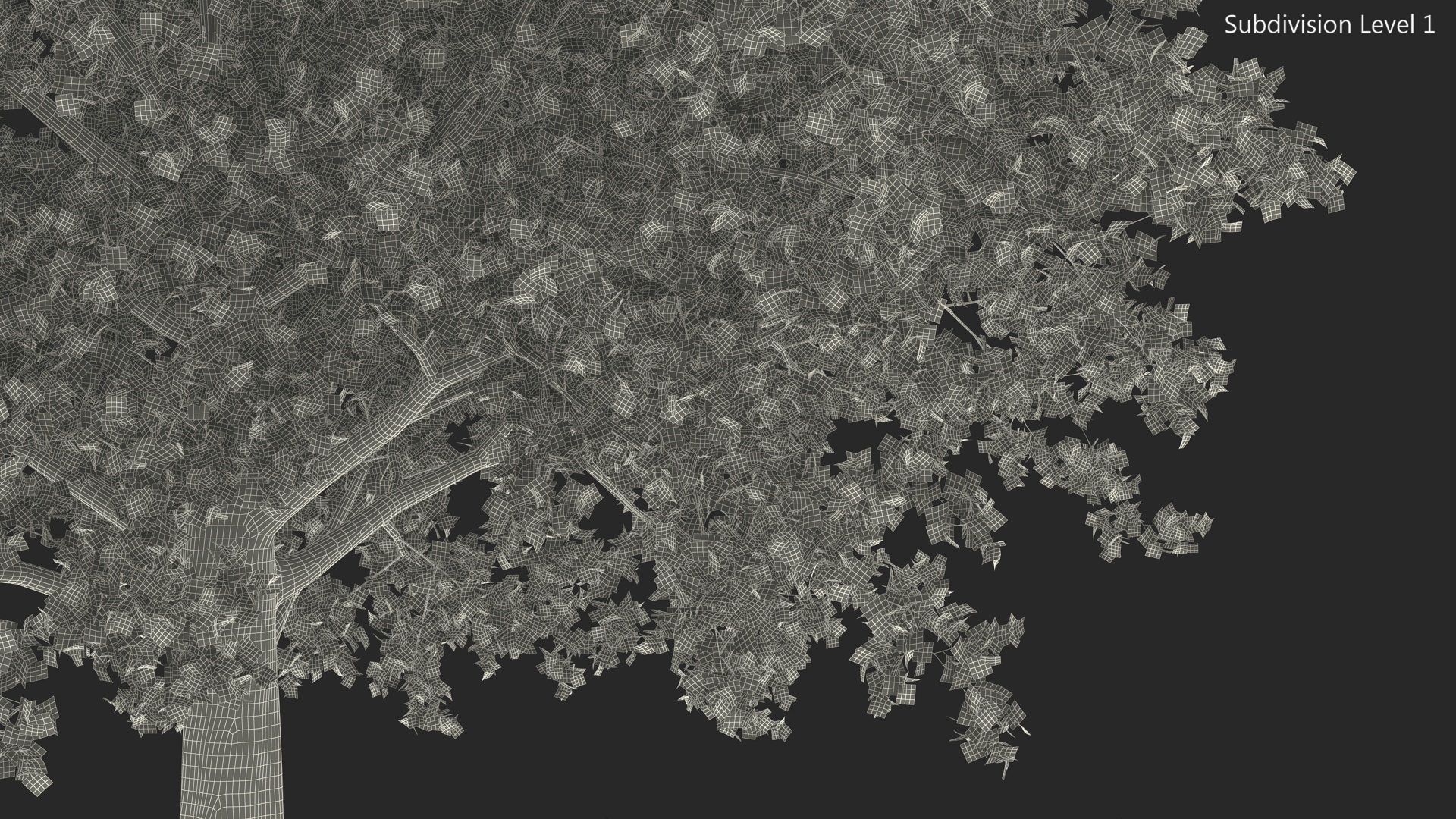 Autumn Maple Tree 3D