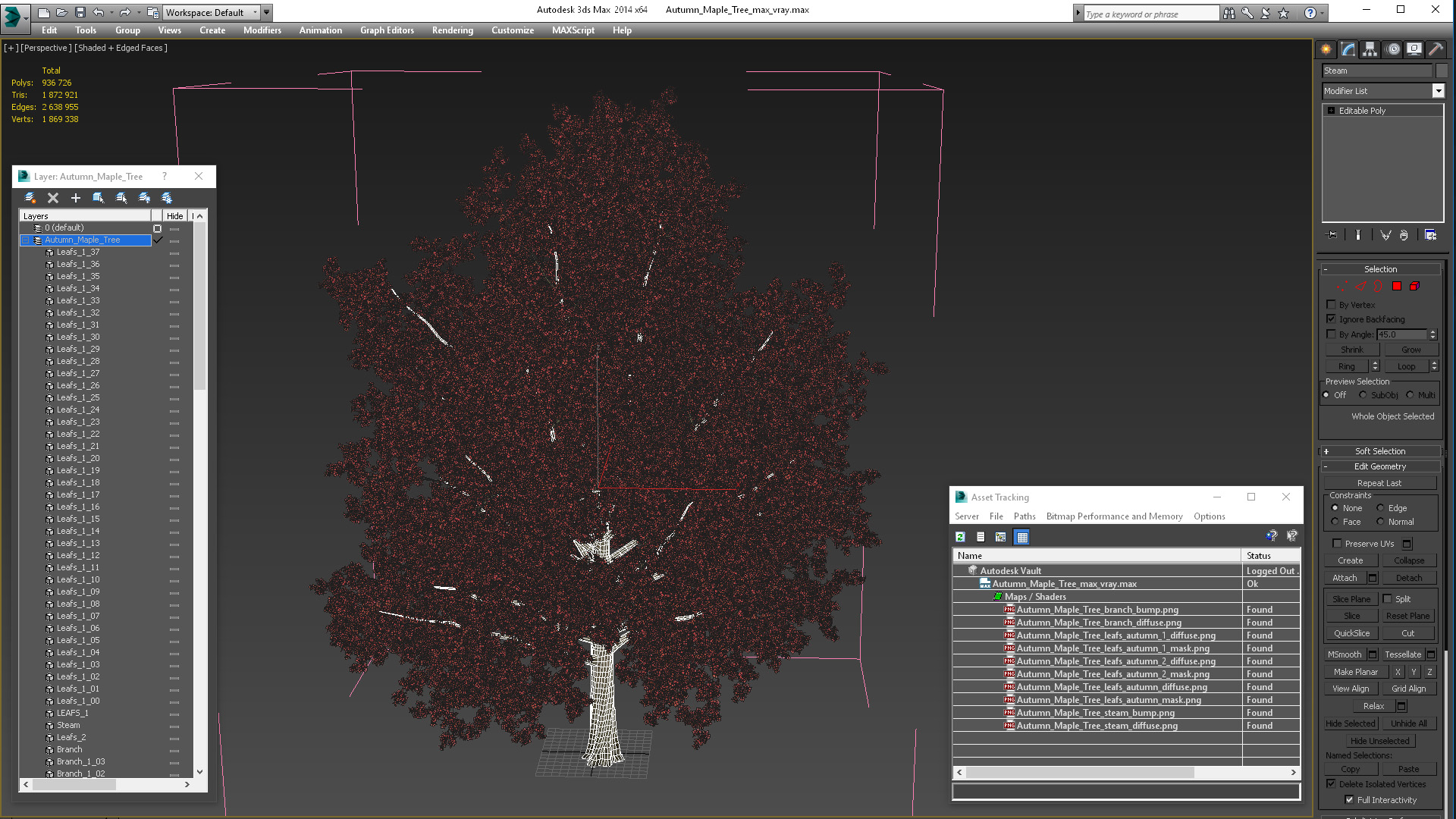 Autumn Maple Tree 3D