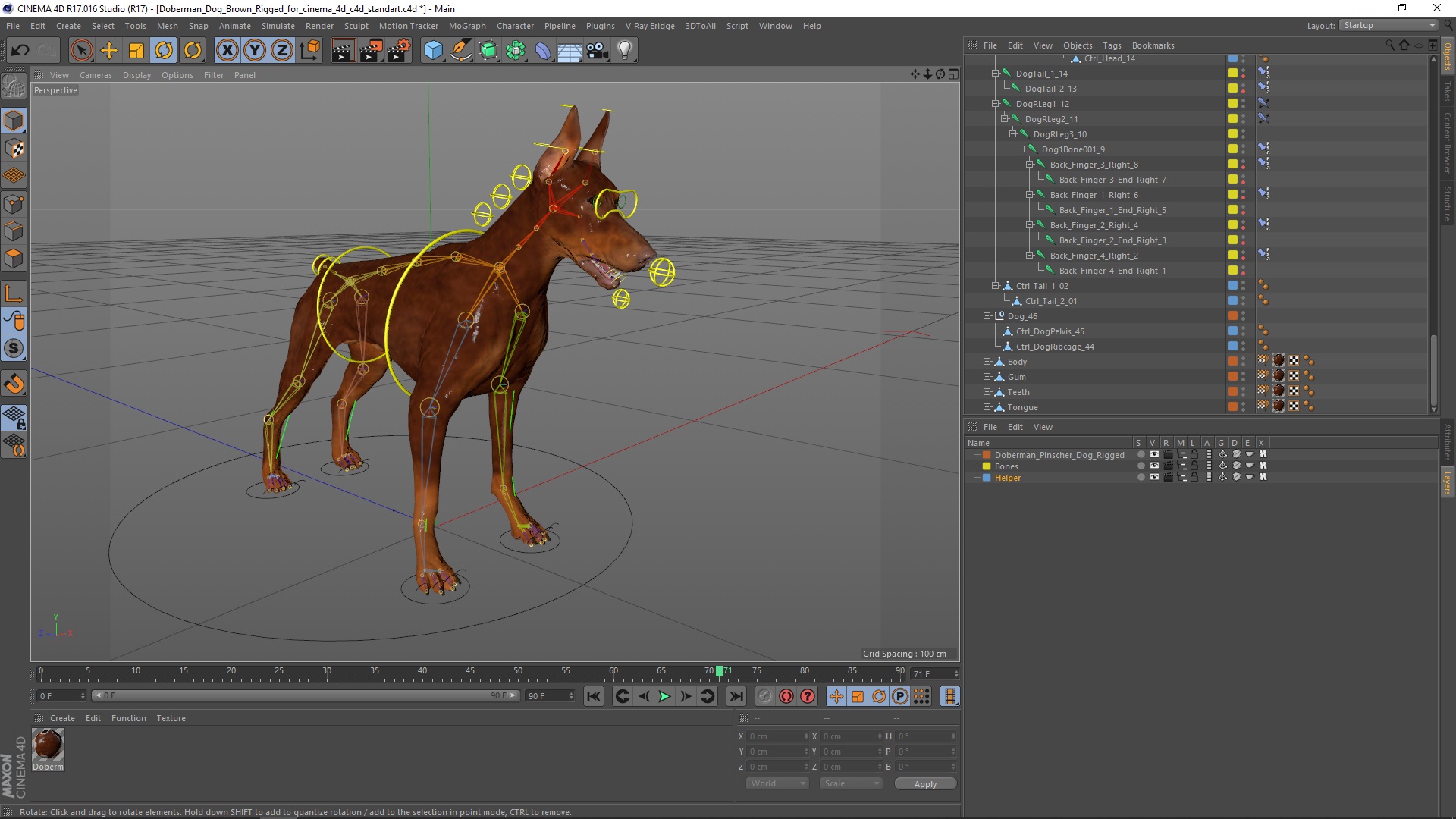 Doberman Dog Brown Rigged for Cinema 4D 3D model