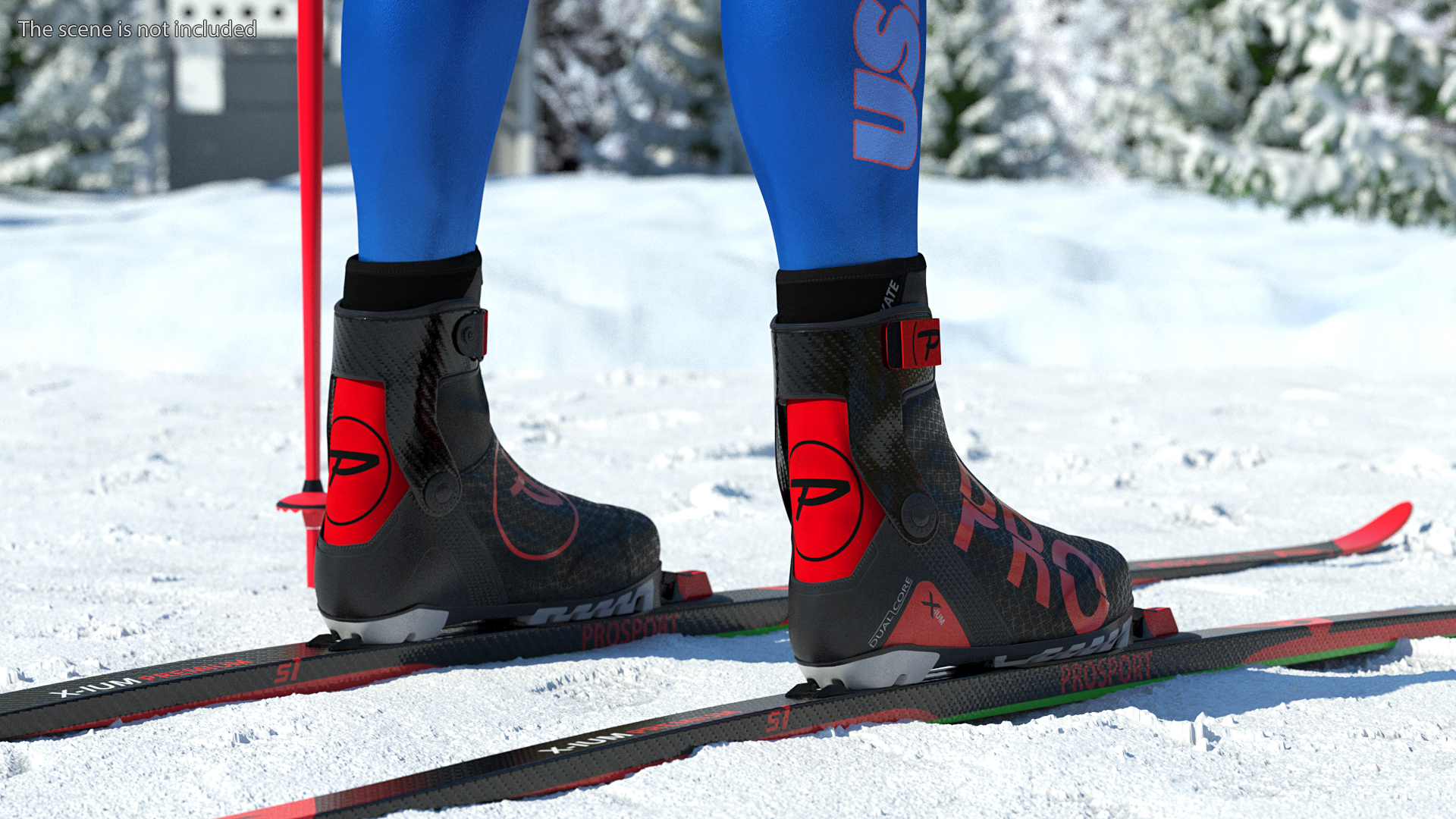 3D Biathlon Equipment Team USA Set