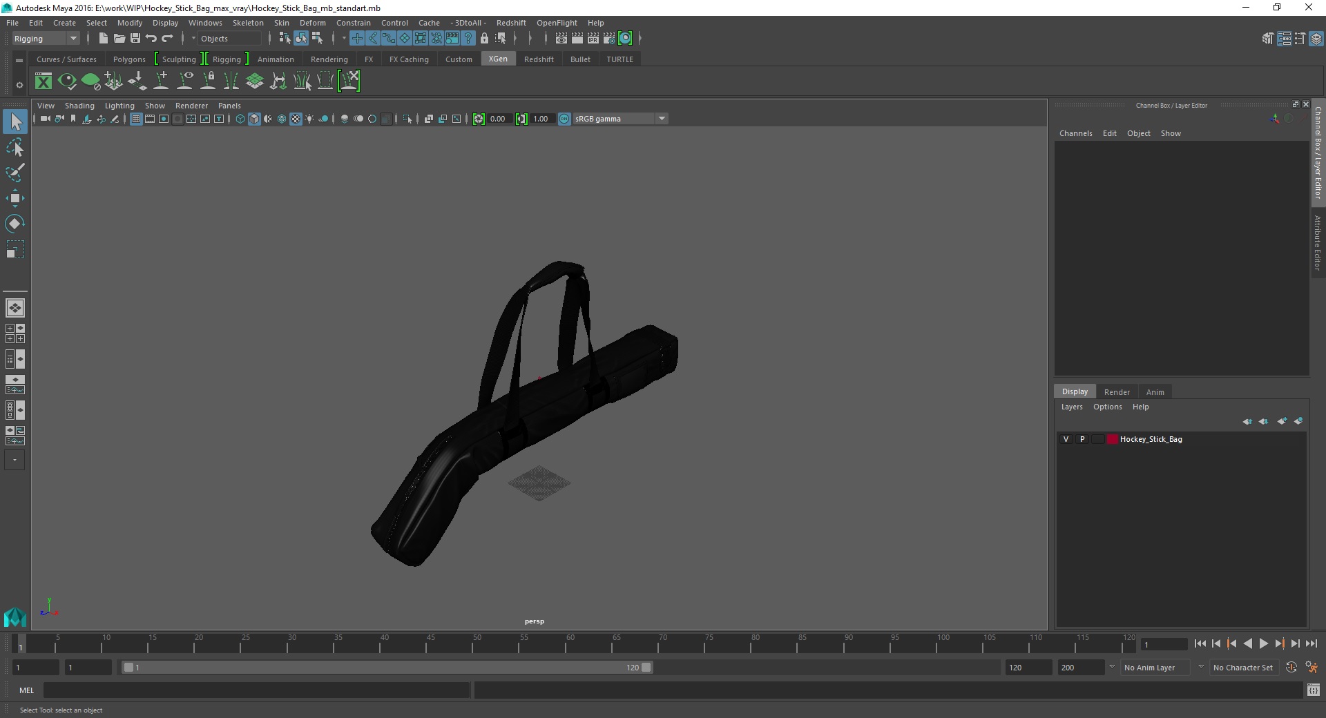3D Hockey Stick Bag