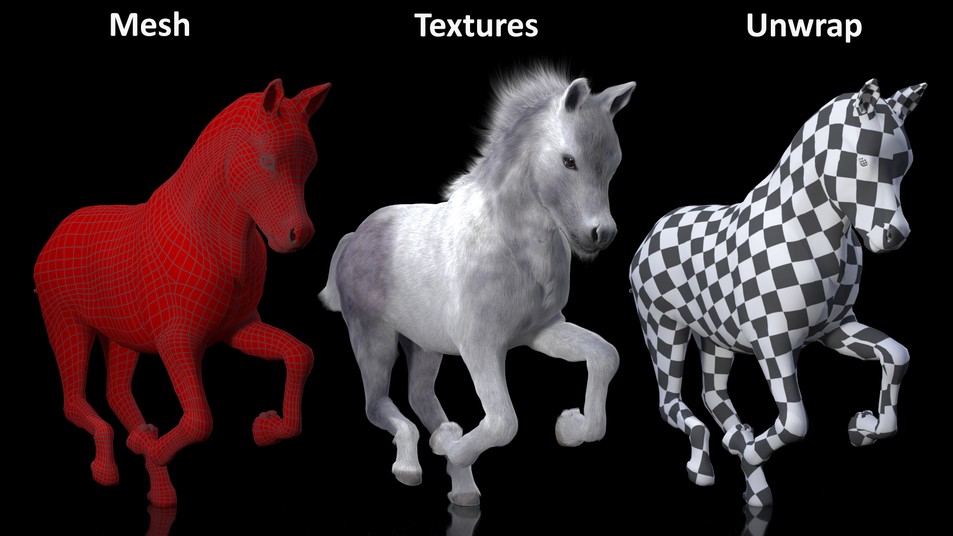 3D Running Shetland Pony White Fur