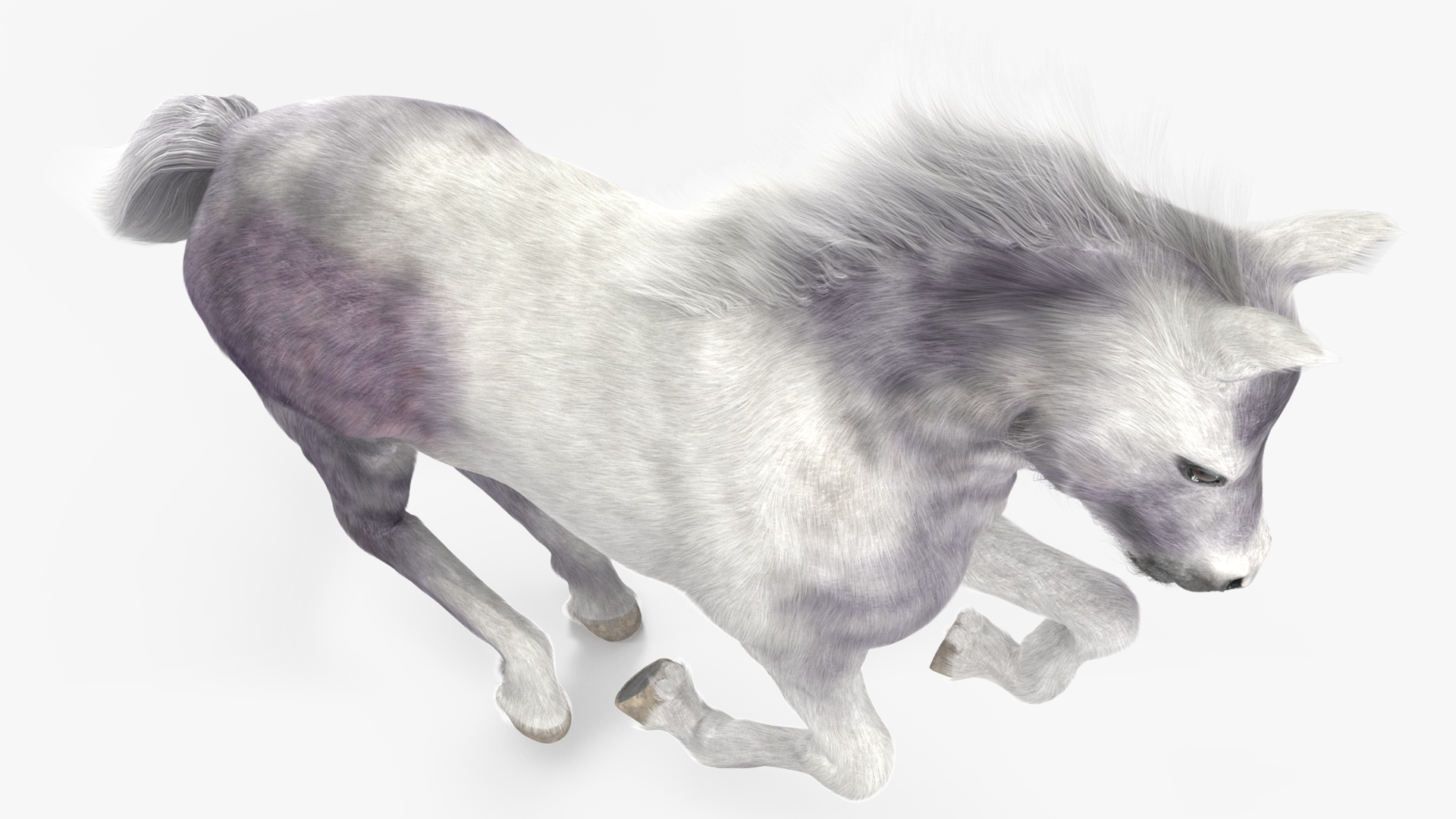 3D Running Shetland Pony White Fur
