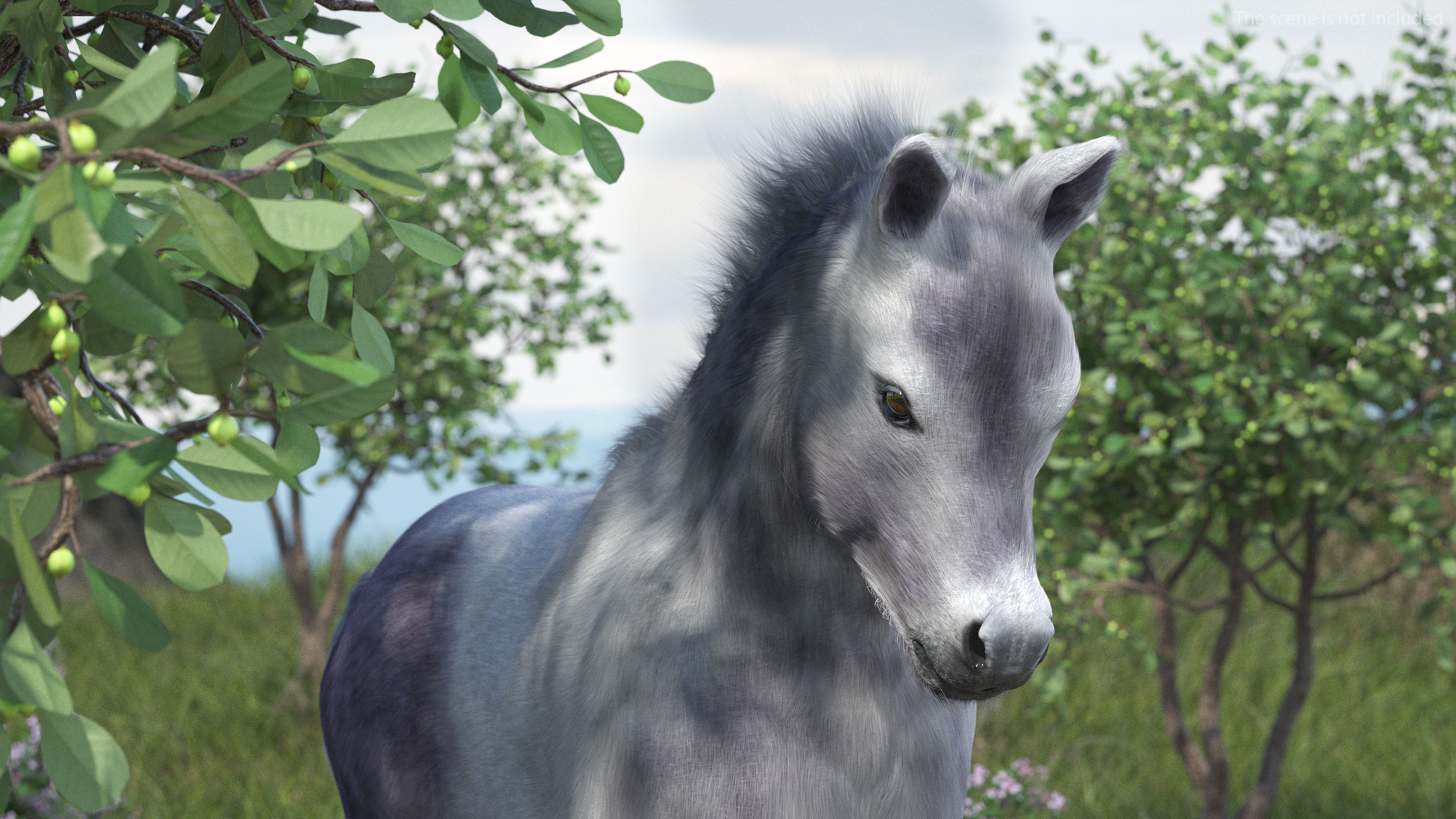 3D Running Shetland Pony White Fur
