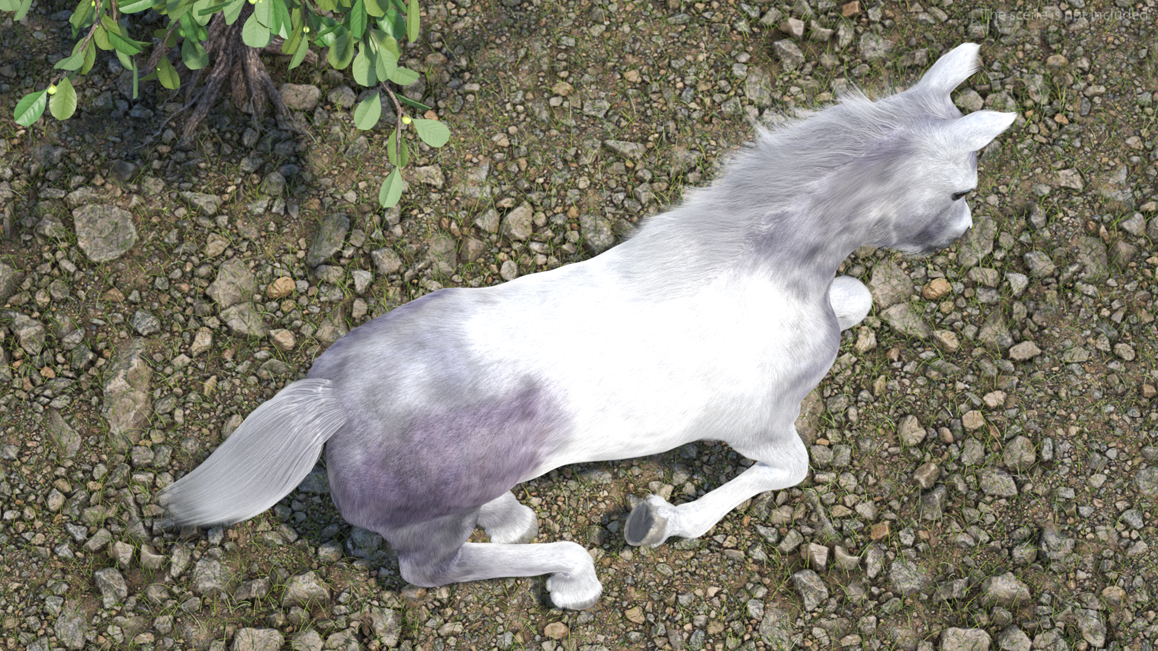 3D Running Shetland Pony White Fur