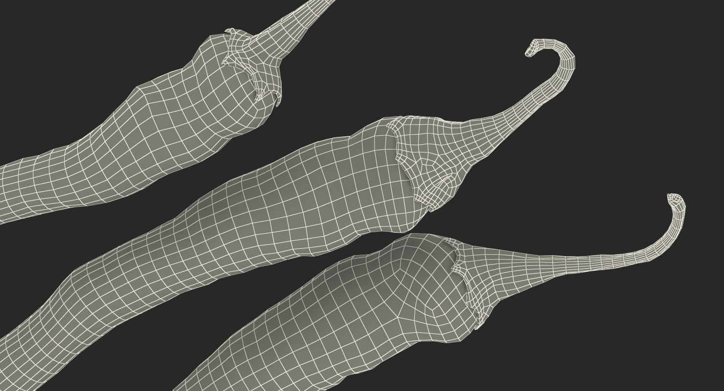 3D Red Chili Pepper