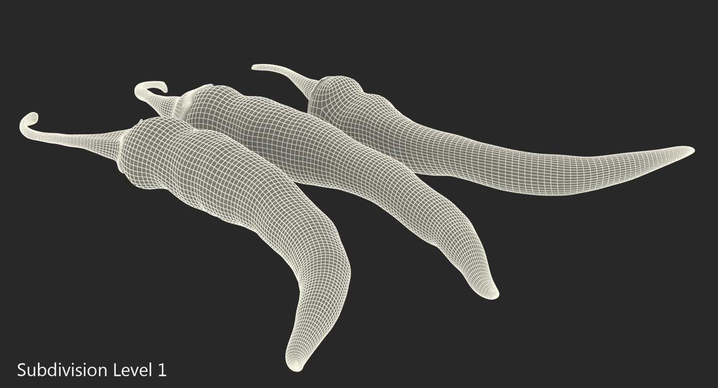 3D Red Chili Pepper