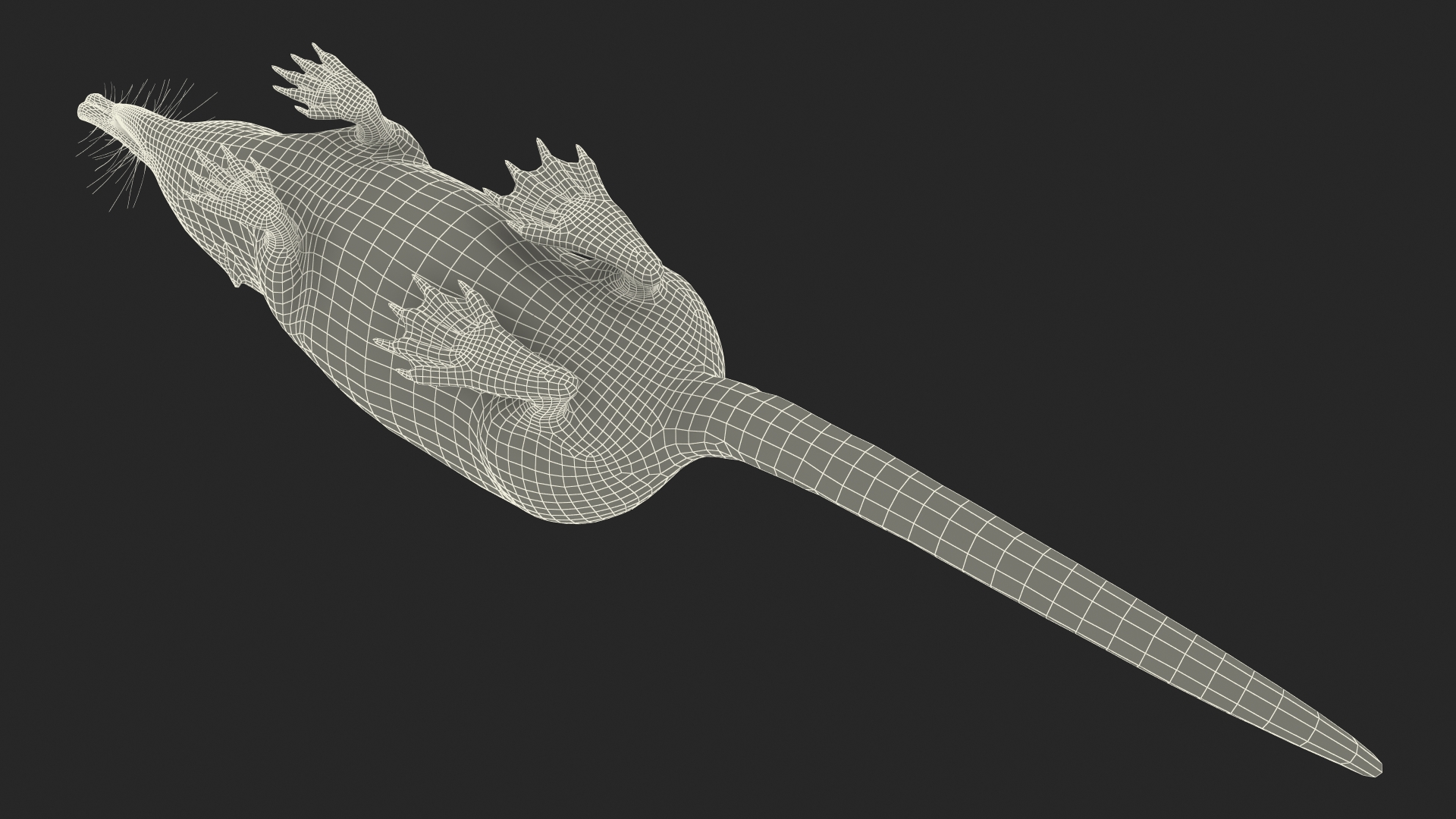 Desmana Moschata Rigged for Cinema 4D 3D
