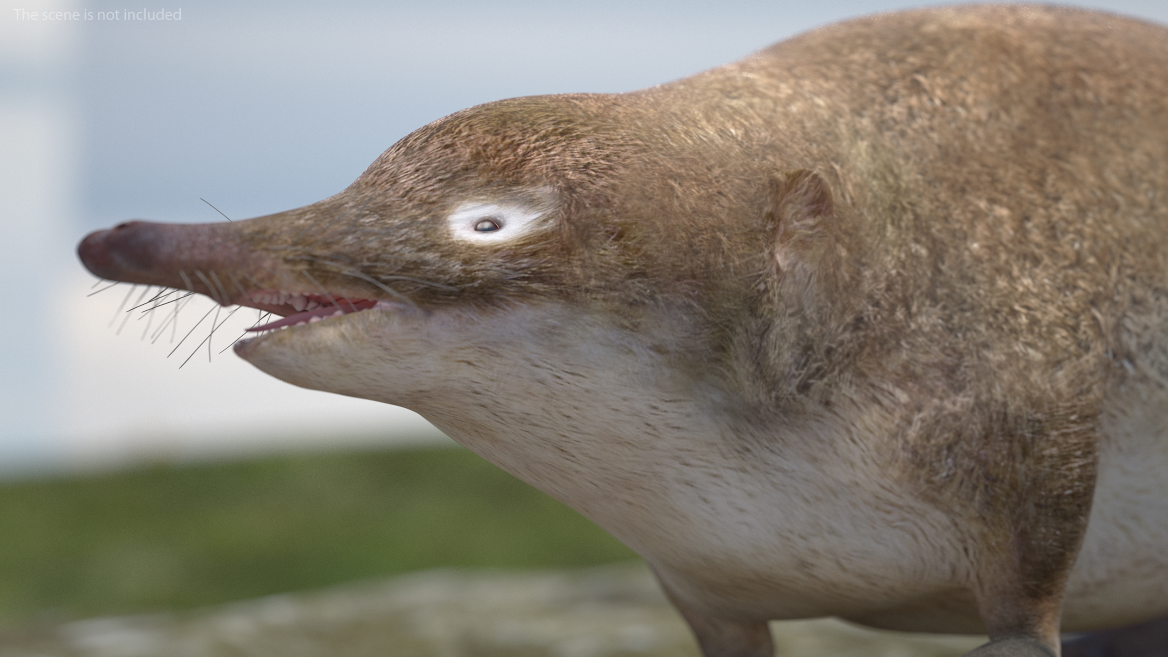 Desmana Moschata Rigged for Cinema 4D 3D