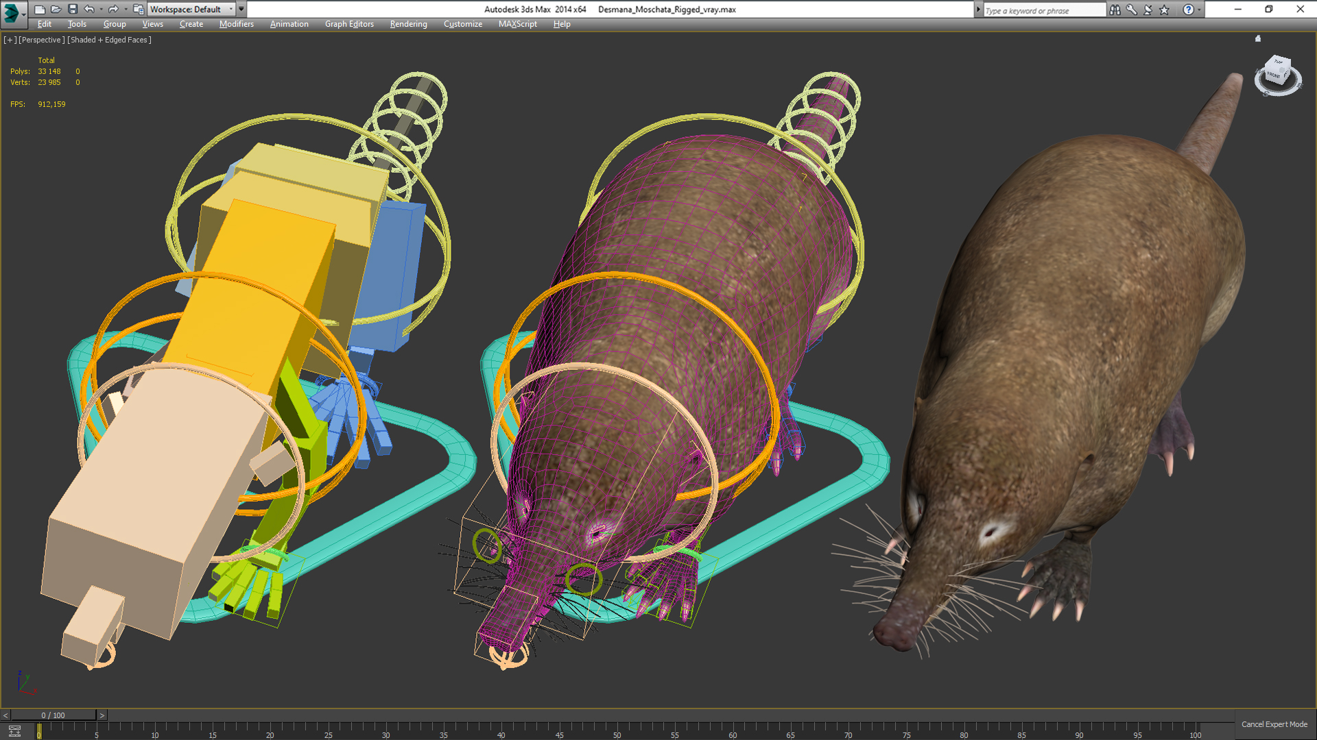 Desmana Moschata Rigged for Cinema 4D 3D