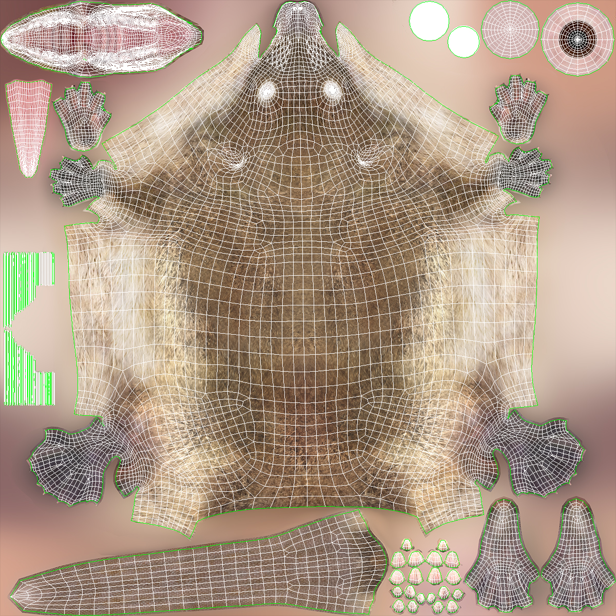 Desmana Moschata Rigged for Cinema 4D 3D