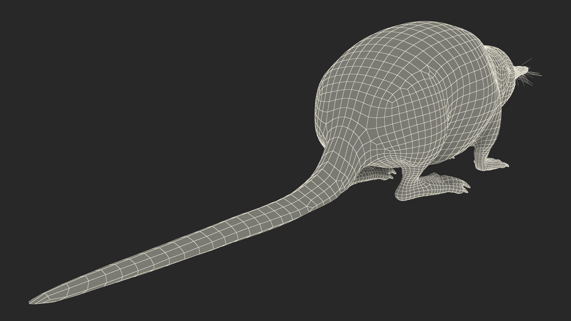 Desmana Moschata Rigged for Cinema 4D 3D