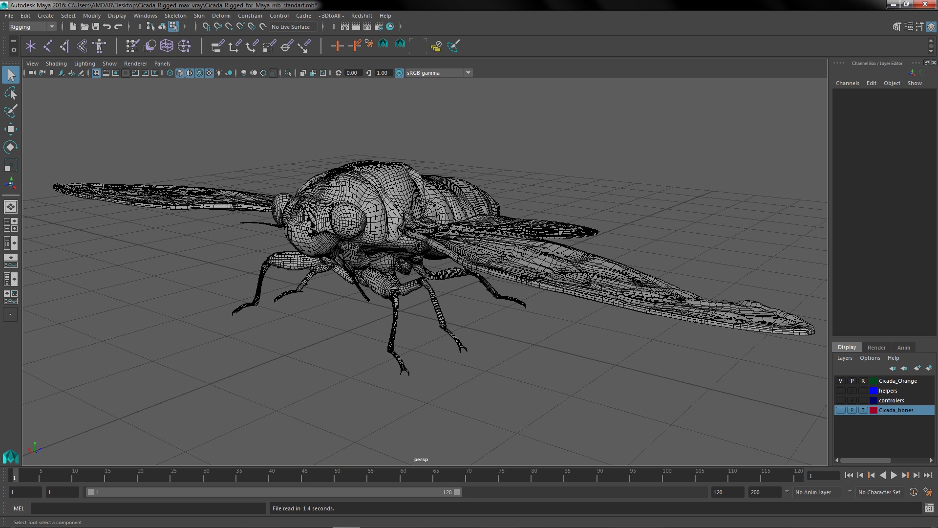 Cicada Rigged for Maya 3D