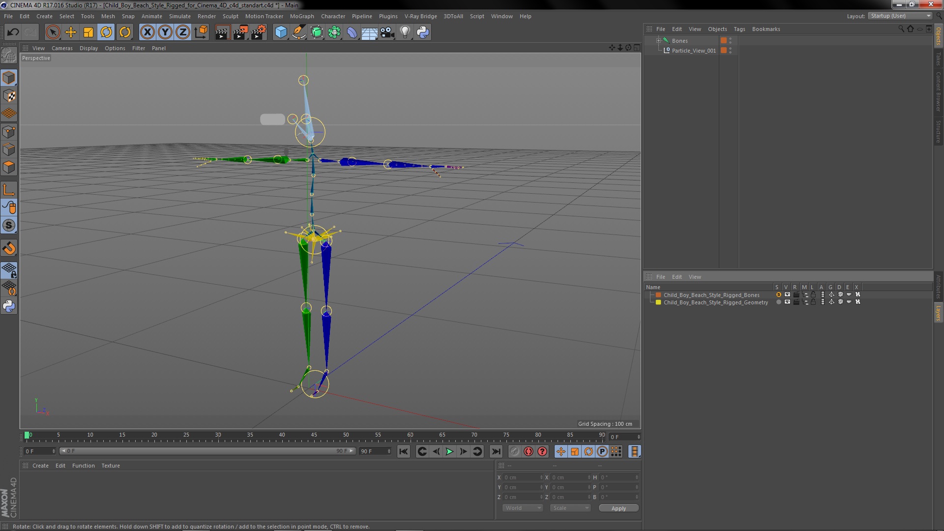 Child Boy Beach Style Rigged for Cinema 4D 3D