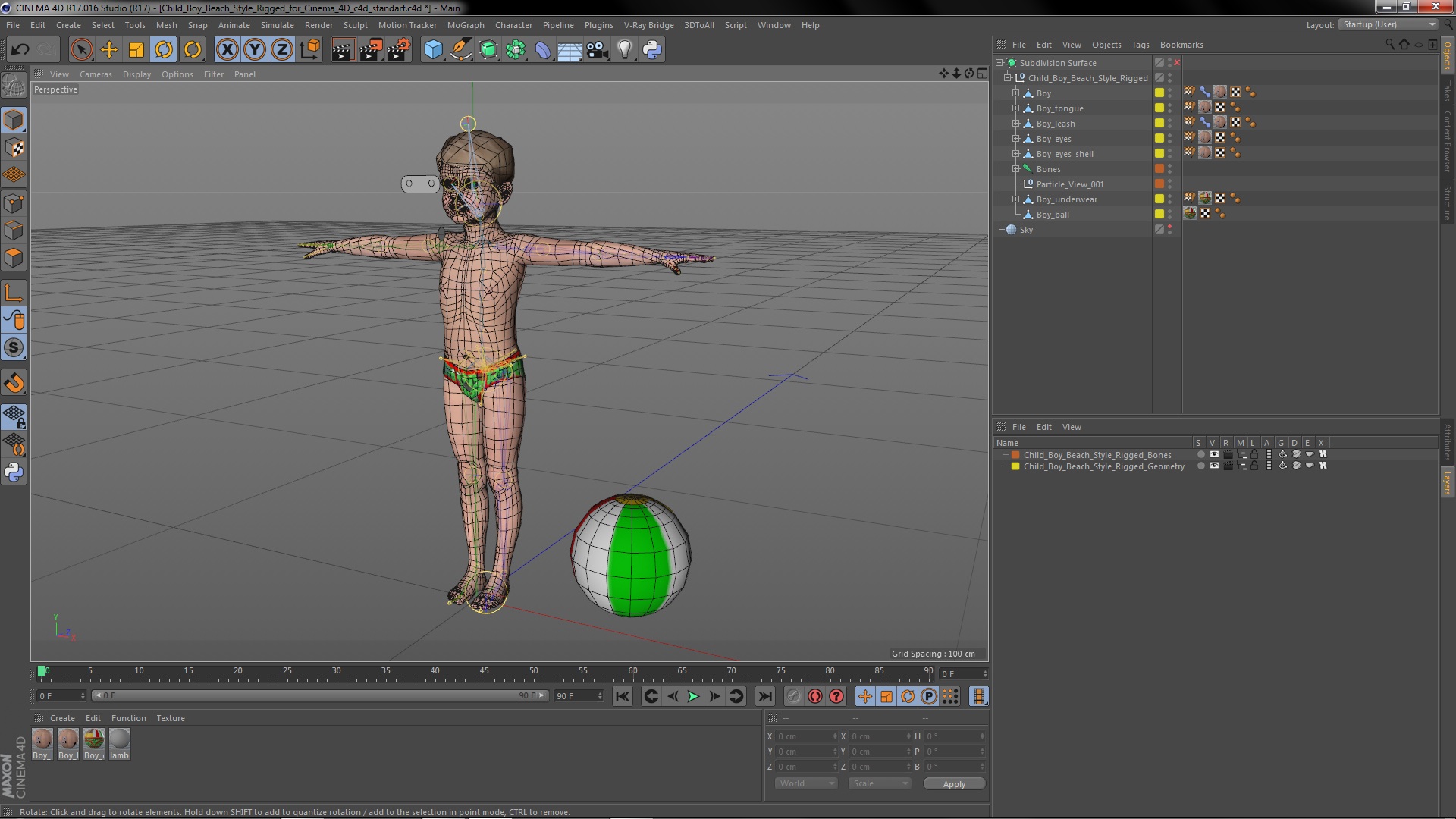 Child Boy Beach Style Rigged for Cinema 4D 3D