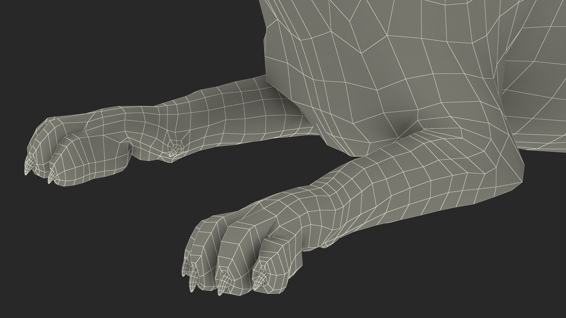 3D model White Male Lion Lying Pose Fur