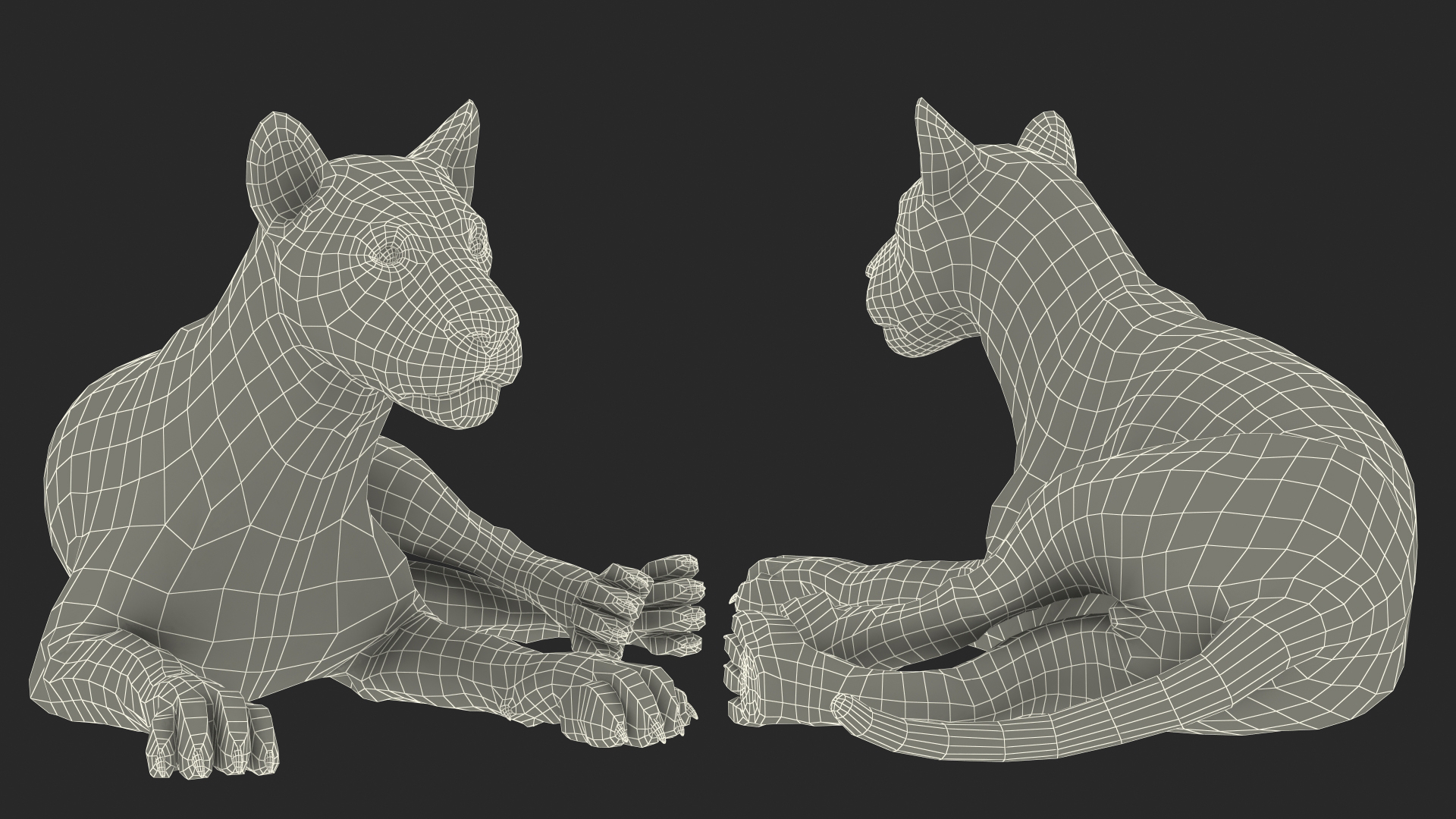 3D model White Male Lion Lying Pose Fur