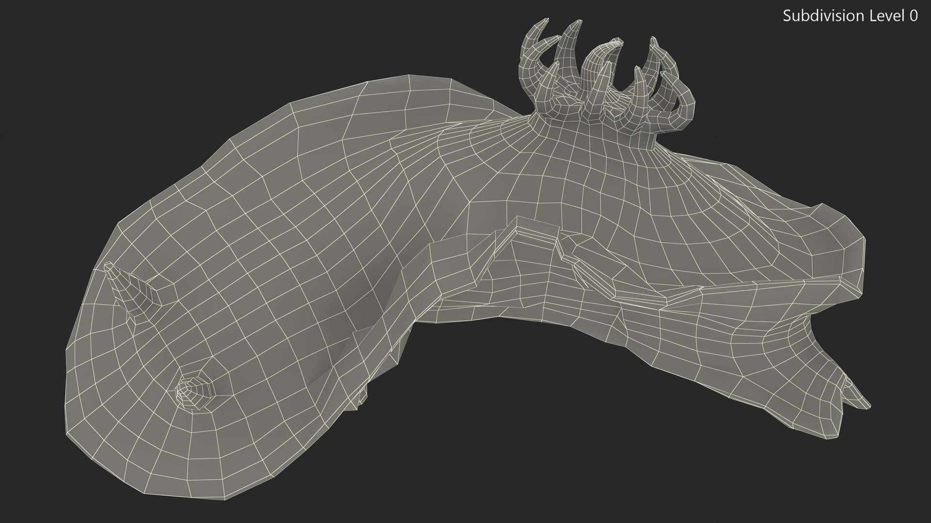 Chromodoris Willani 3D model