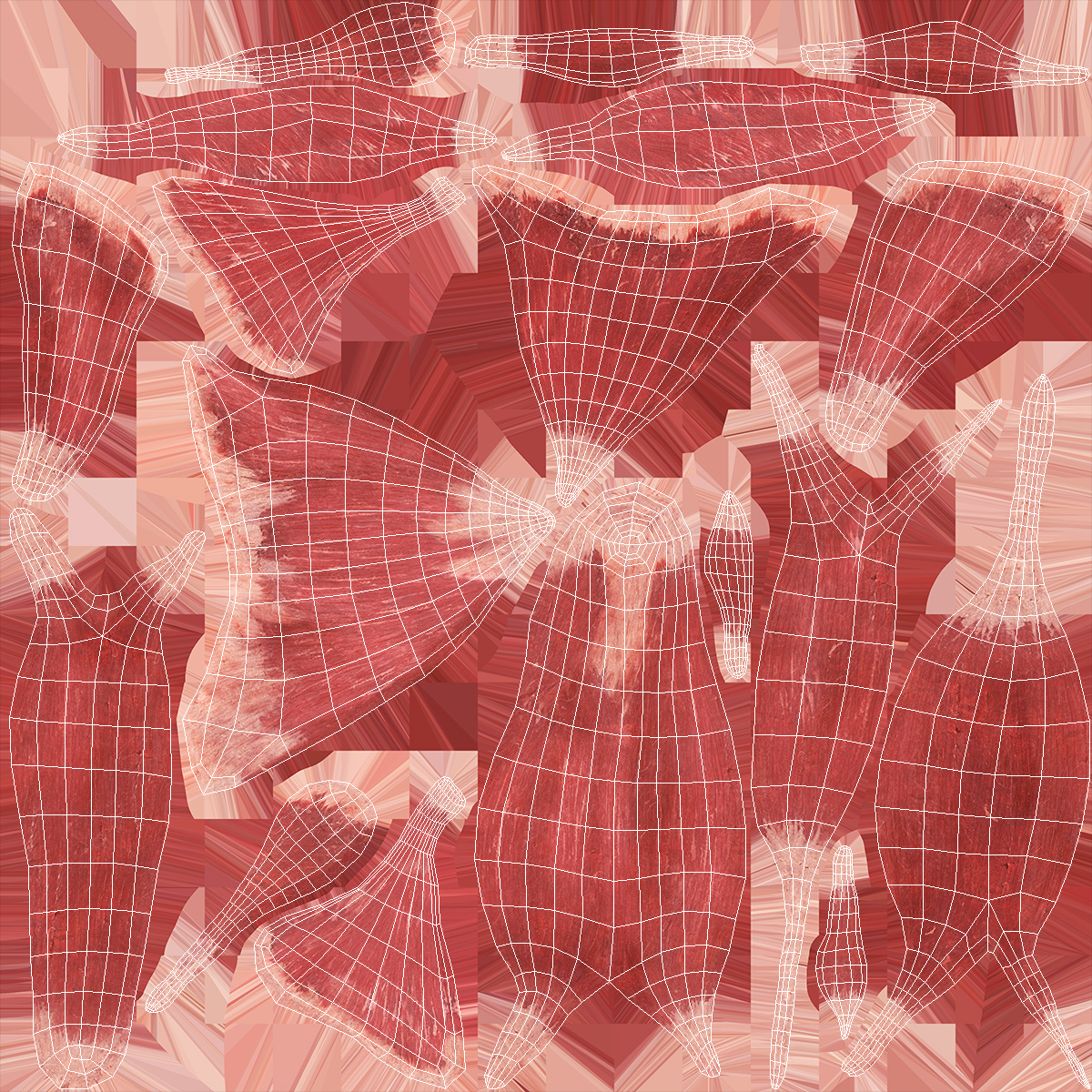 Male Arm Muscular System 3D model