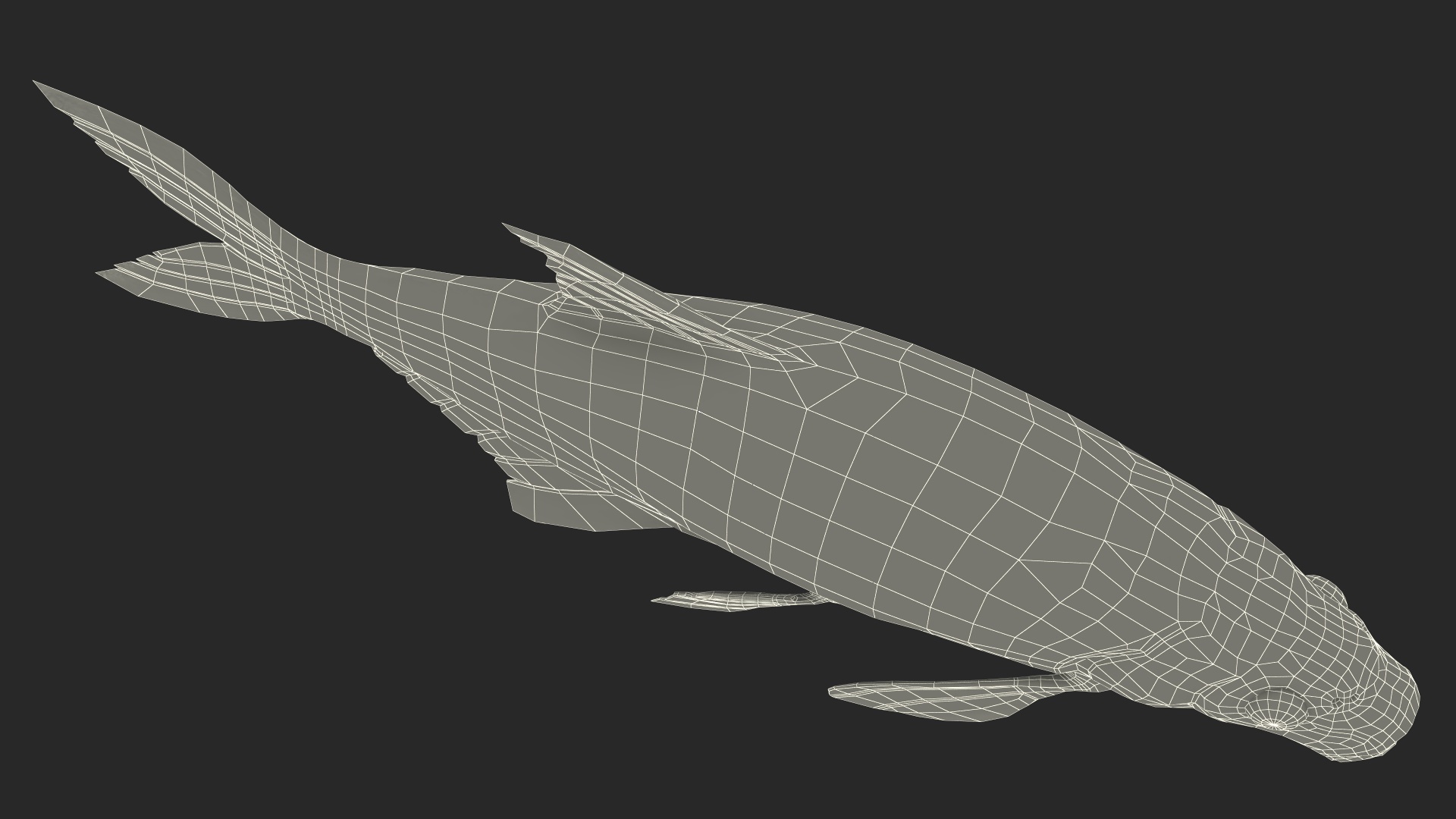 3D Bronze Bream Fish Rigged for Cinema 4D model