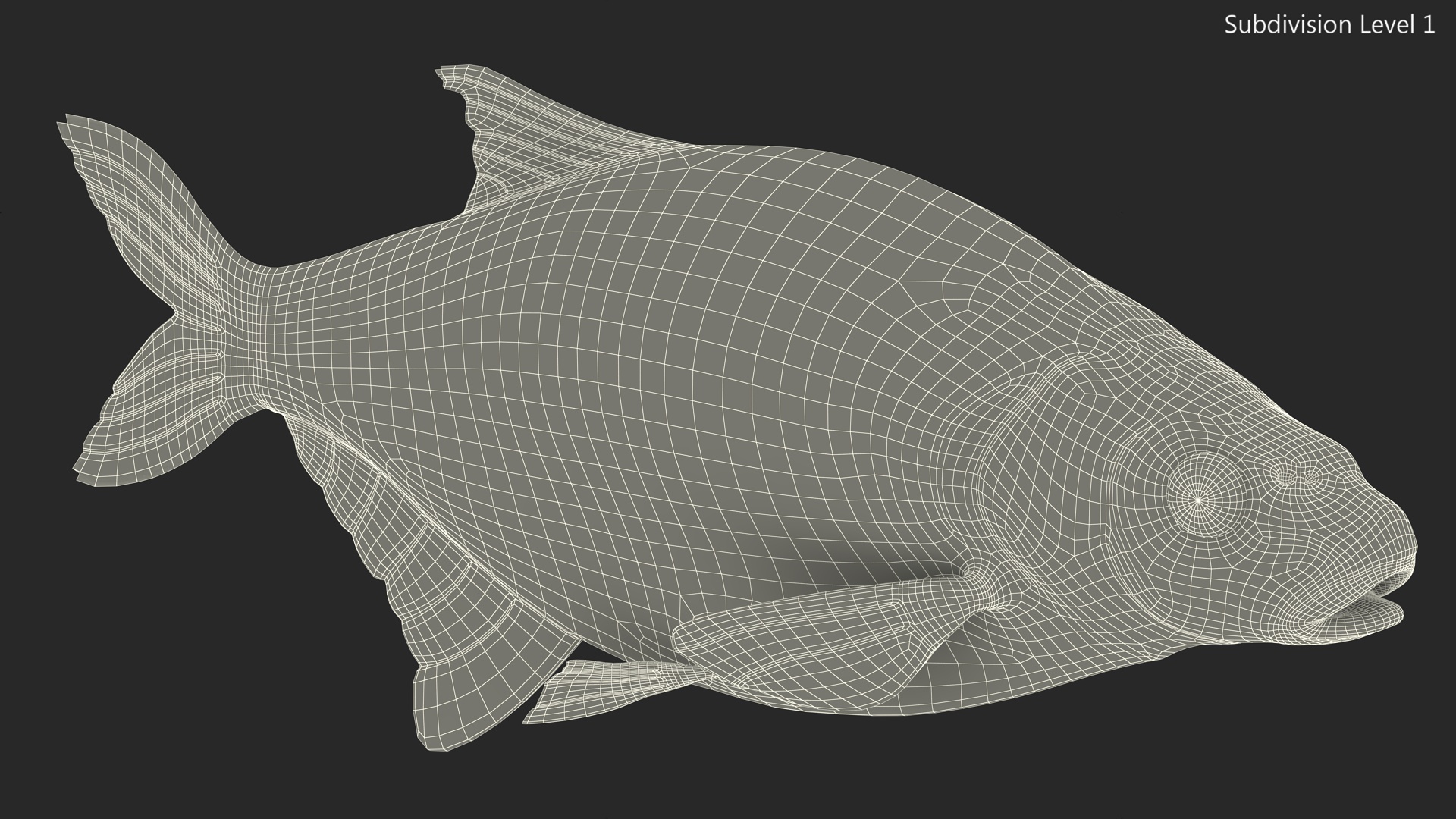 3D Bronze Bream Fish Rigged for Cinema 4D model