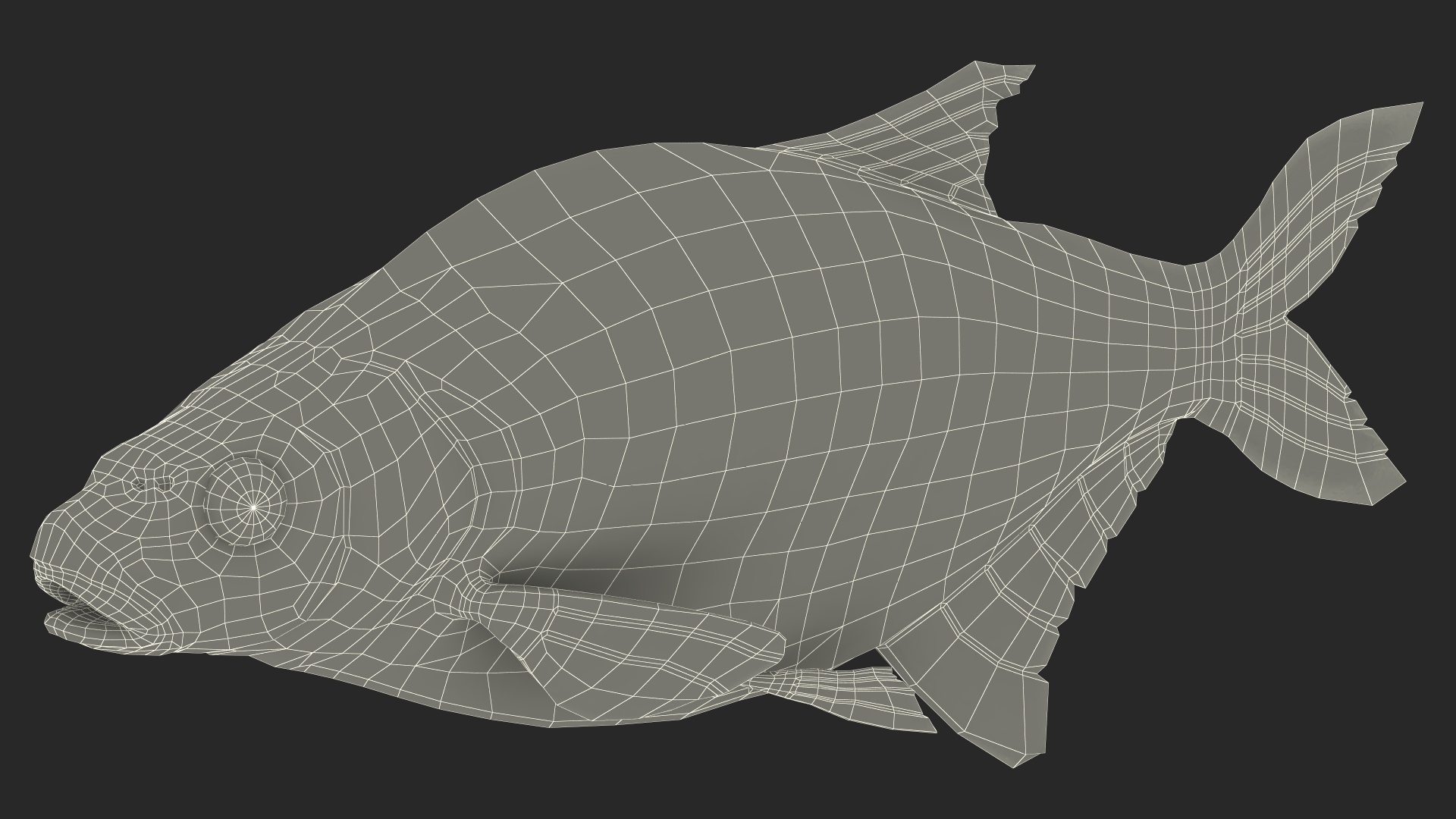3D Bronze Bream Fish Rigged for Cinema 4D model