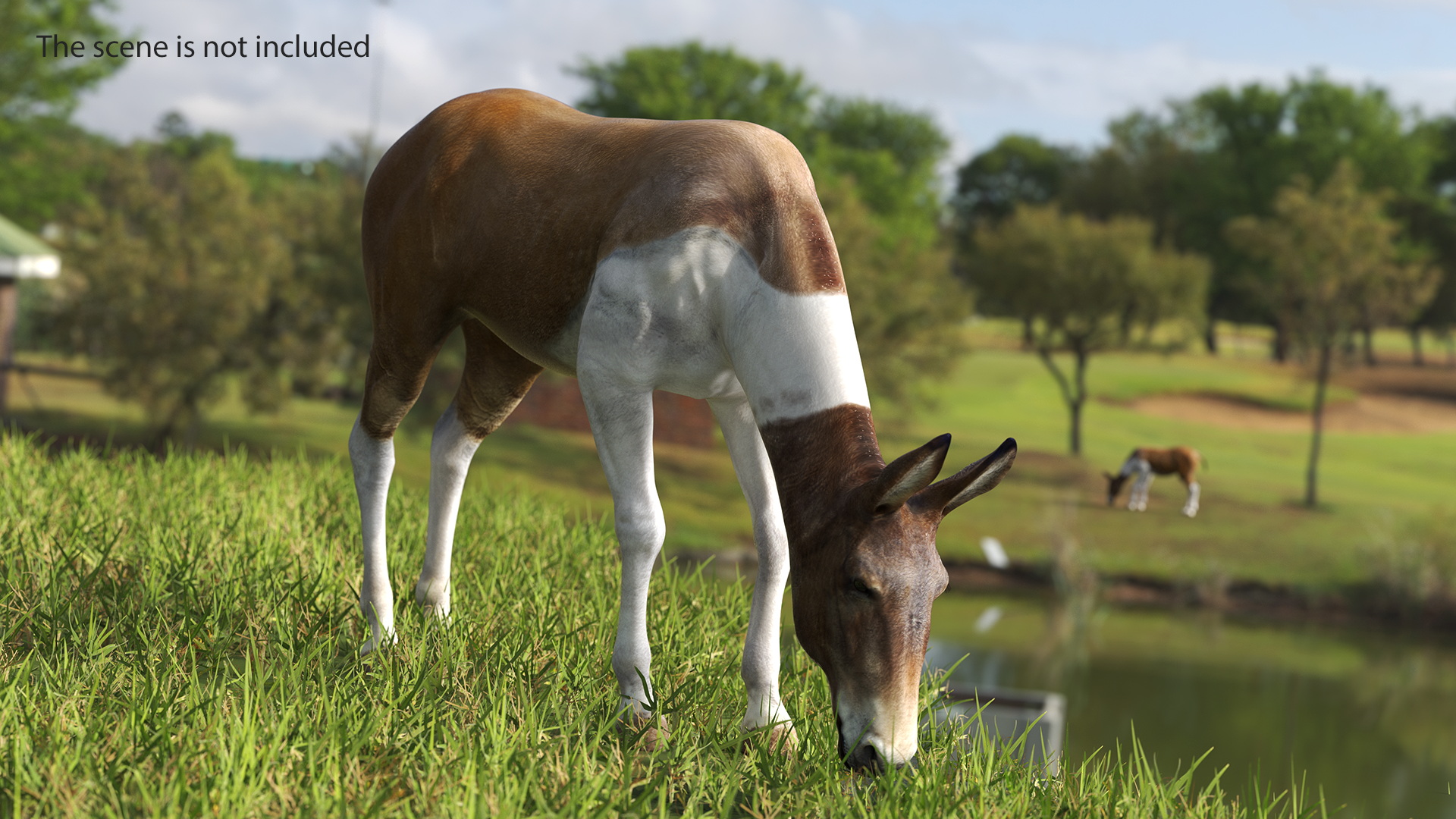 3D Eating Mule