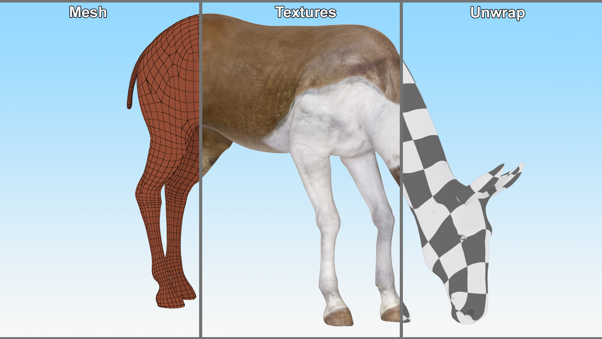 3D Eating Mule