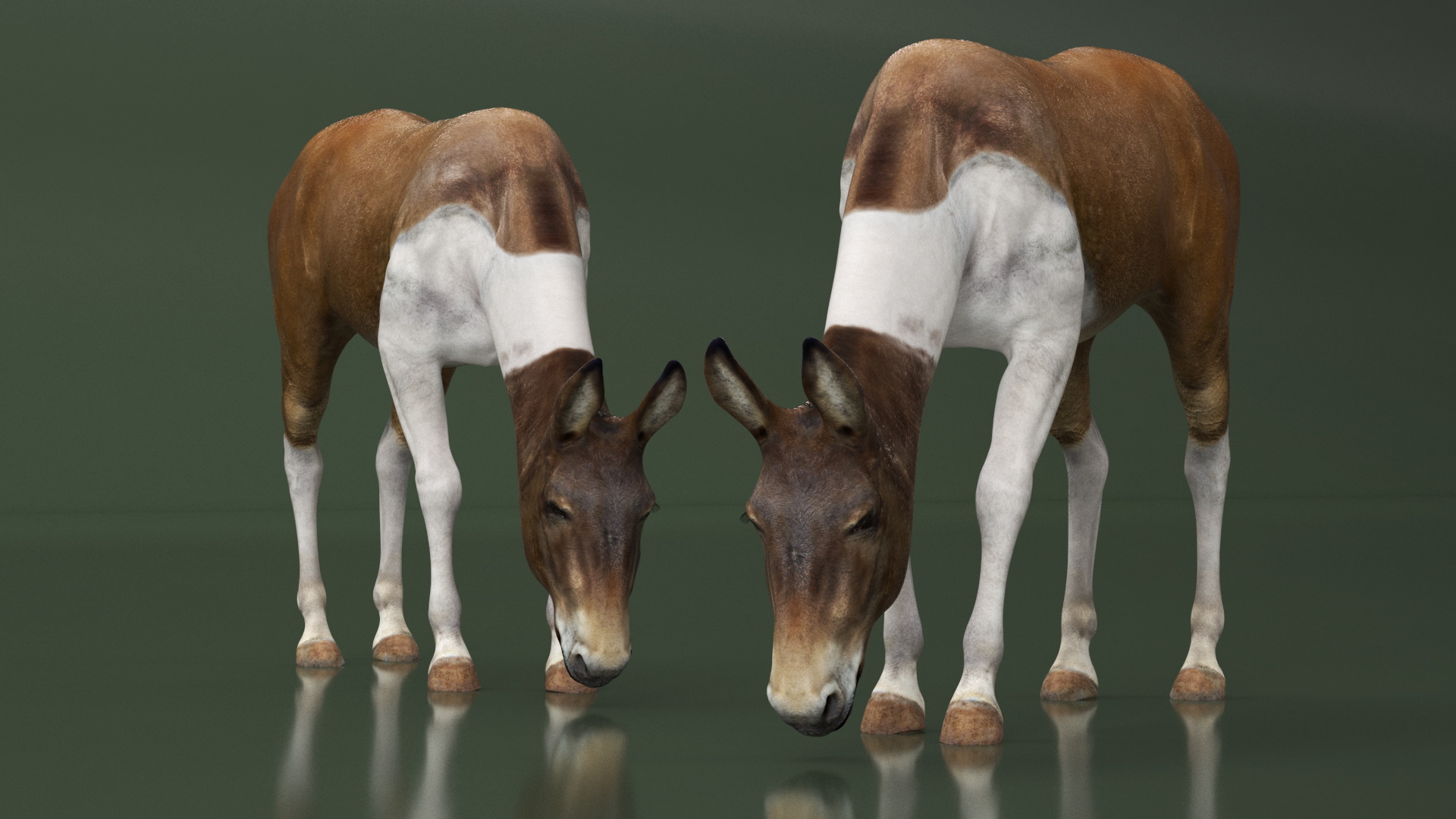 3D Eating Mule