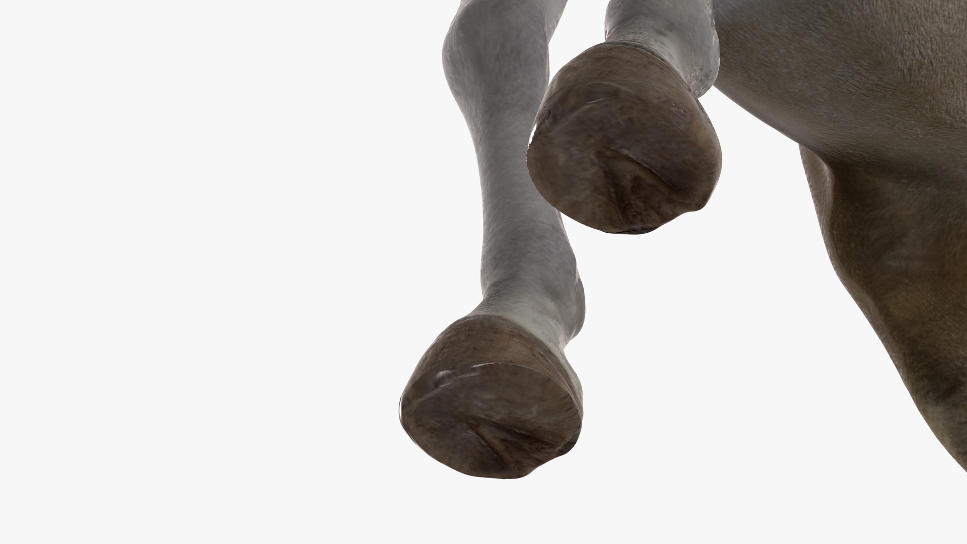 3D Eating Mule