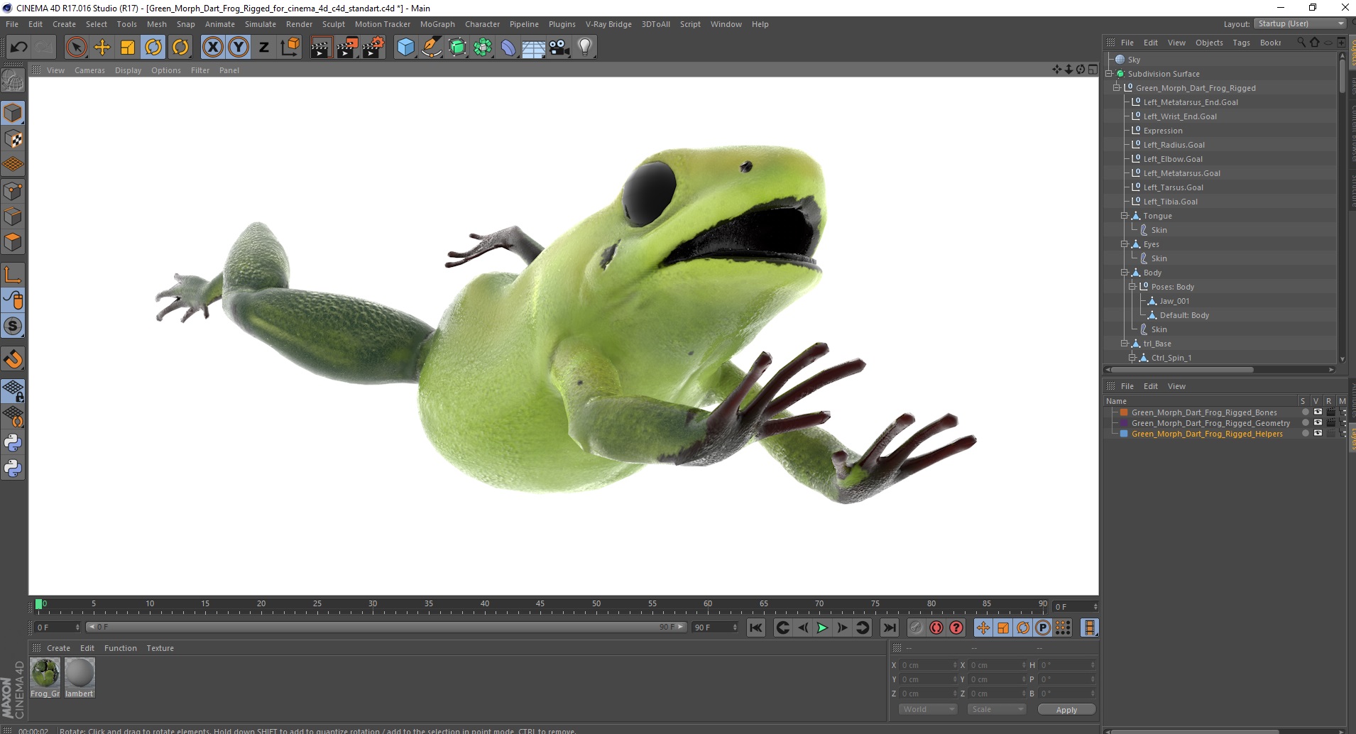 Green Morph Dart Frog Rigged for Cinema 4D 3D