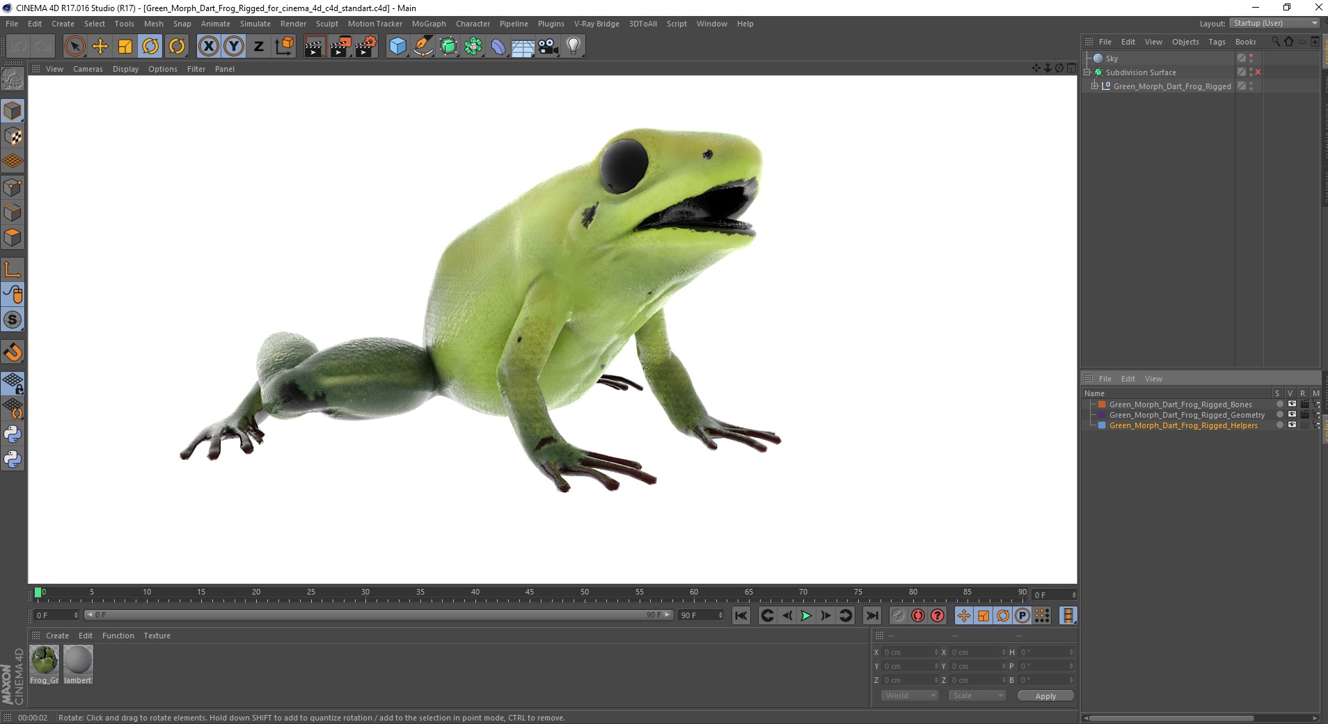 Green Morph Dart Frog Rigged for Cinema 4D 3D