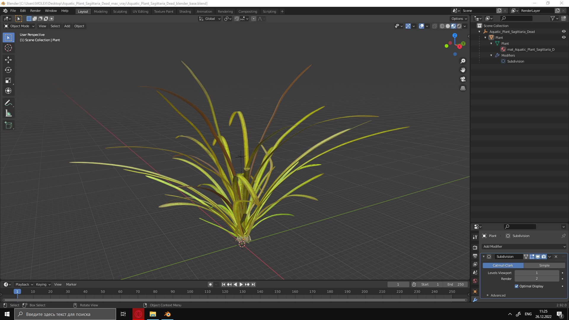 Aquatic Plant Sagittaria Dead 3D model