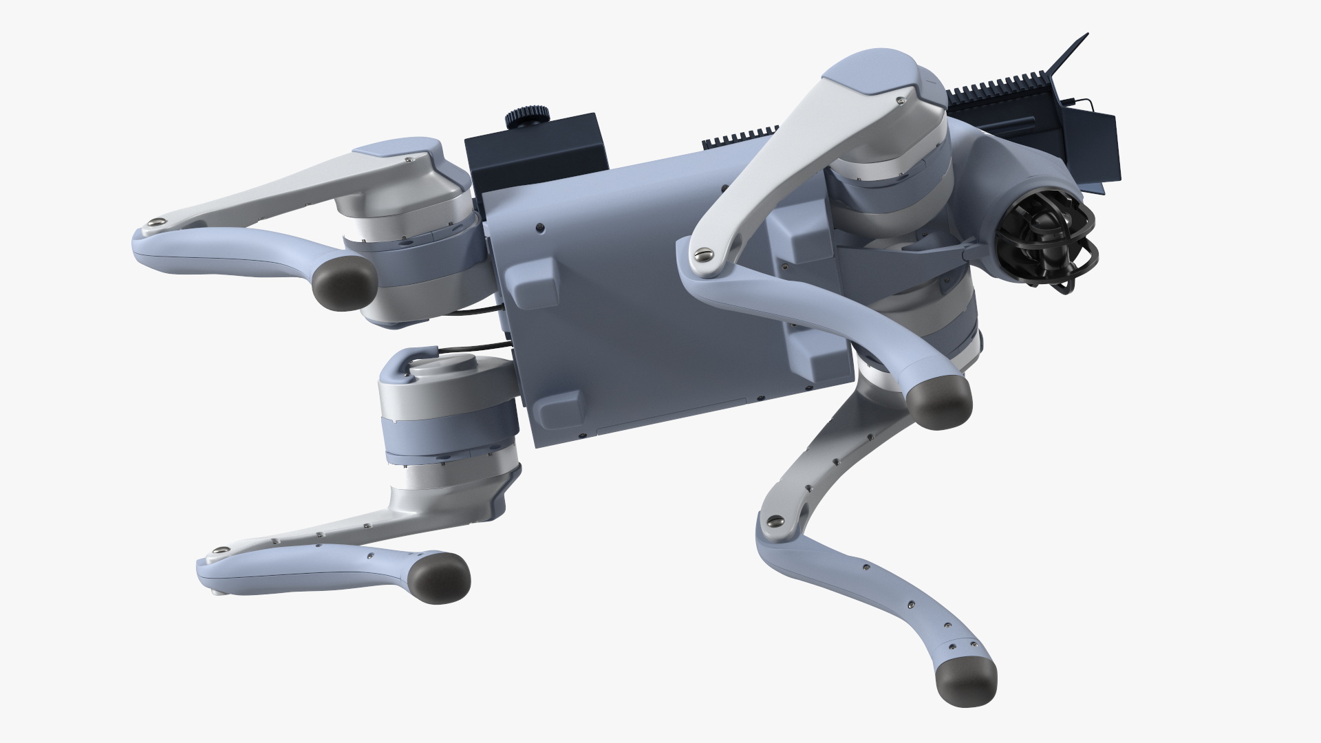 3D model Thermonator Robot Dog in Stand Pose