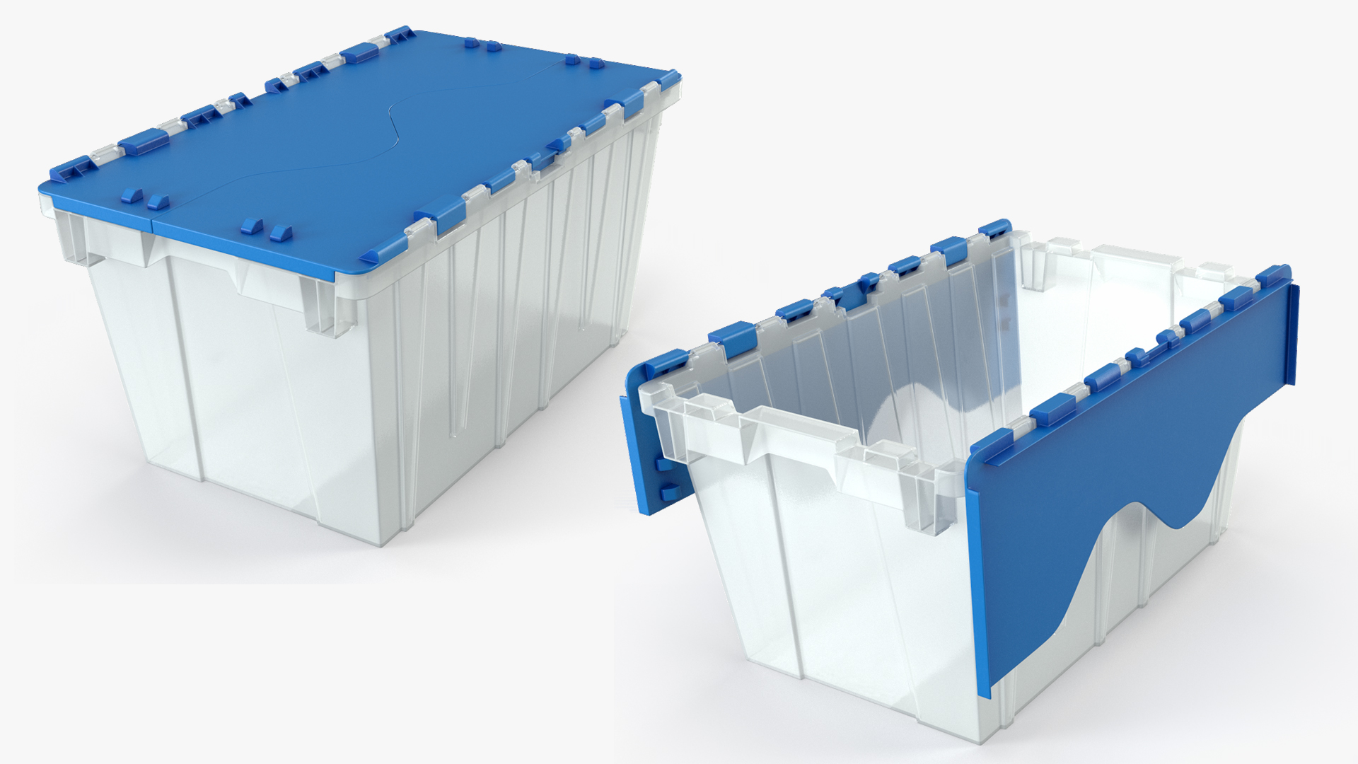 Plastic Fish Crate with Atlantic Herring - view 4