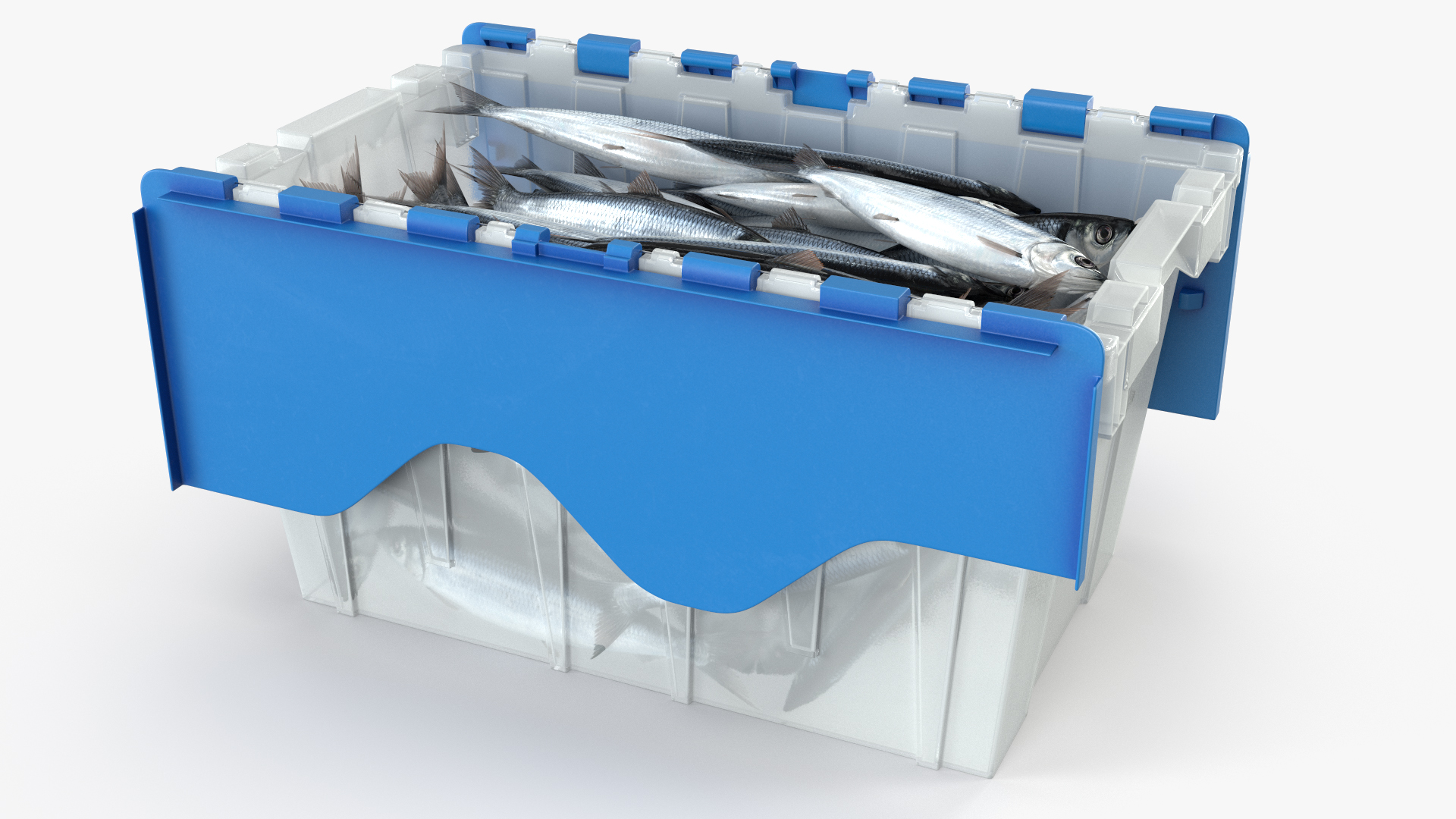 Plastic Fish Crate with Atlantic Herring 3D model preview