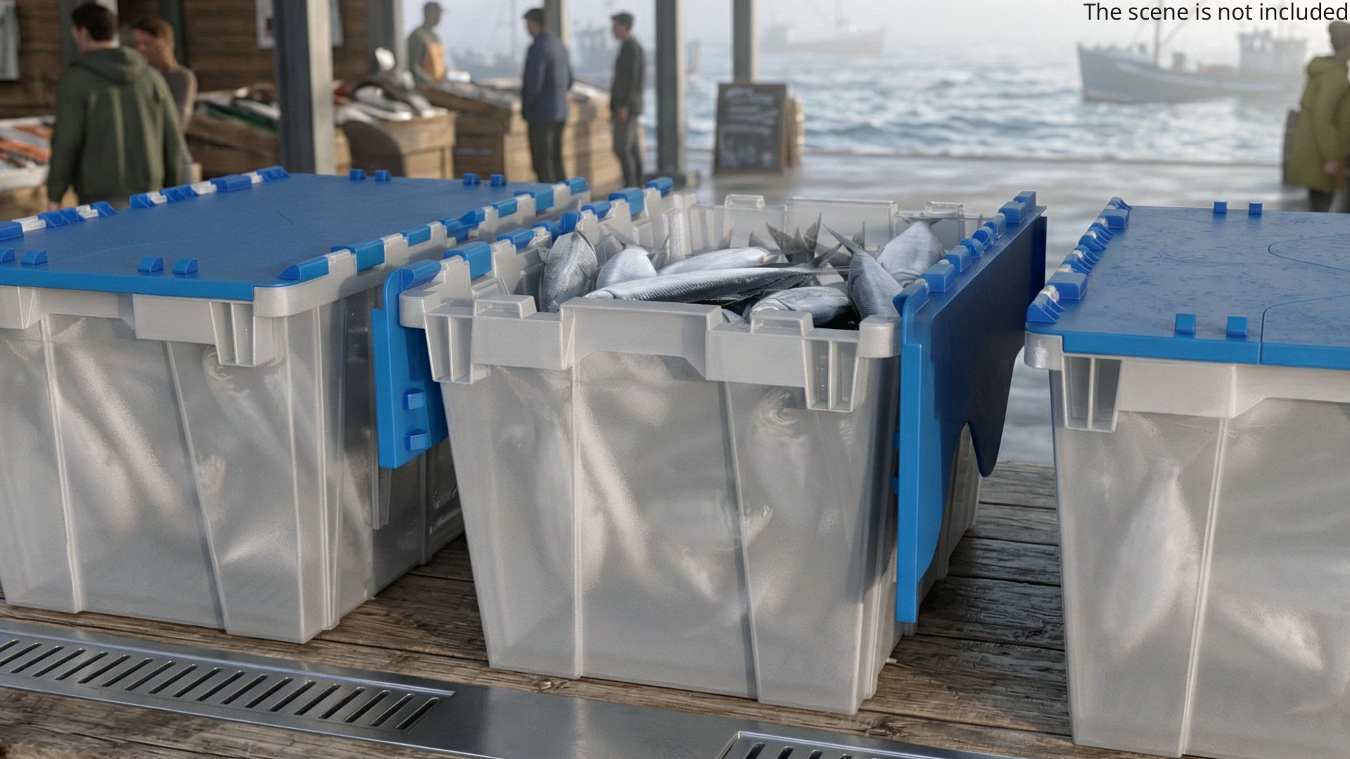 Plastic Fish Crate with Atlantic Herring - view 2