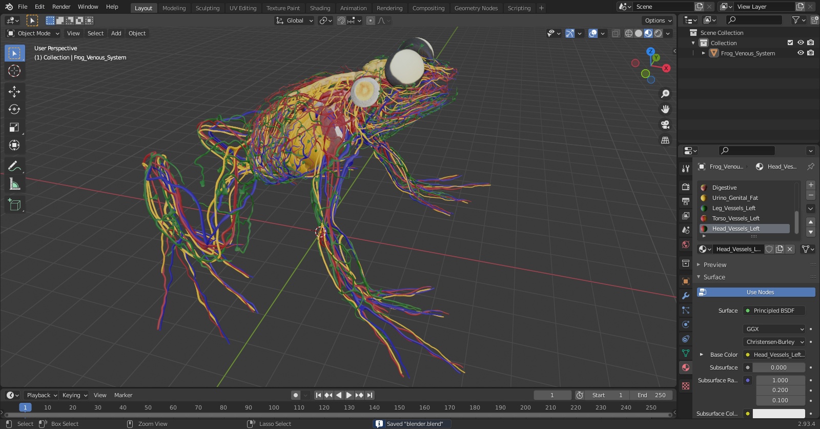 3D Frog Venous System model