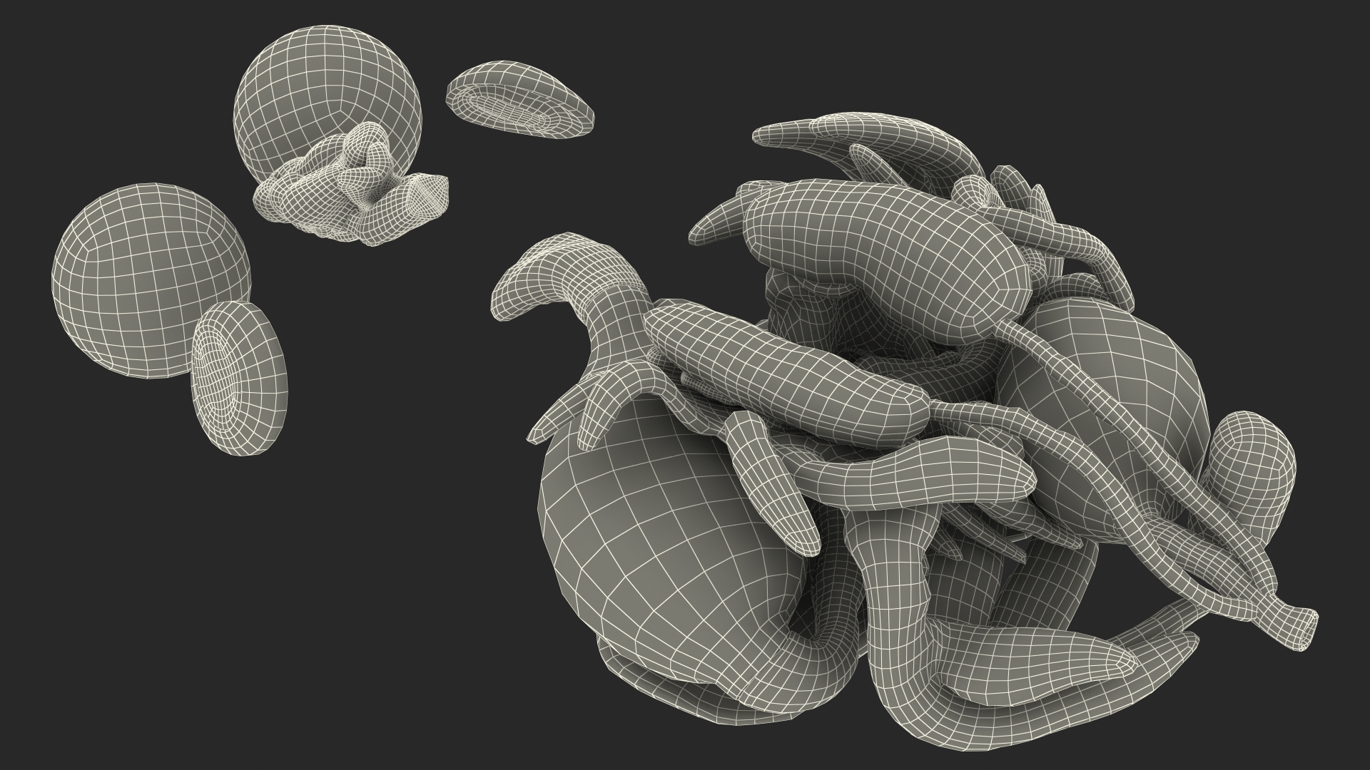 3D Frog Venous System model