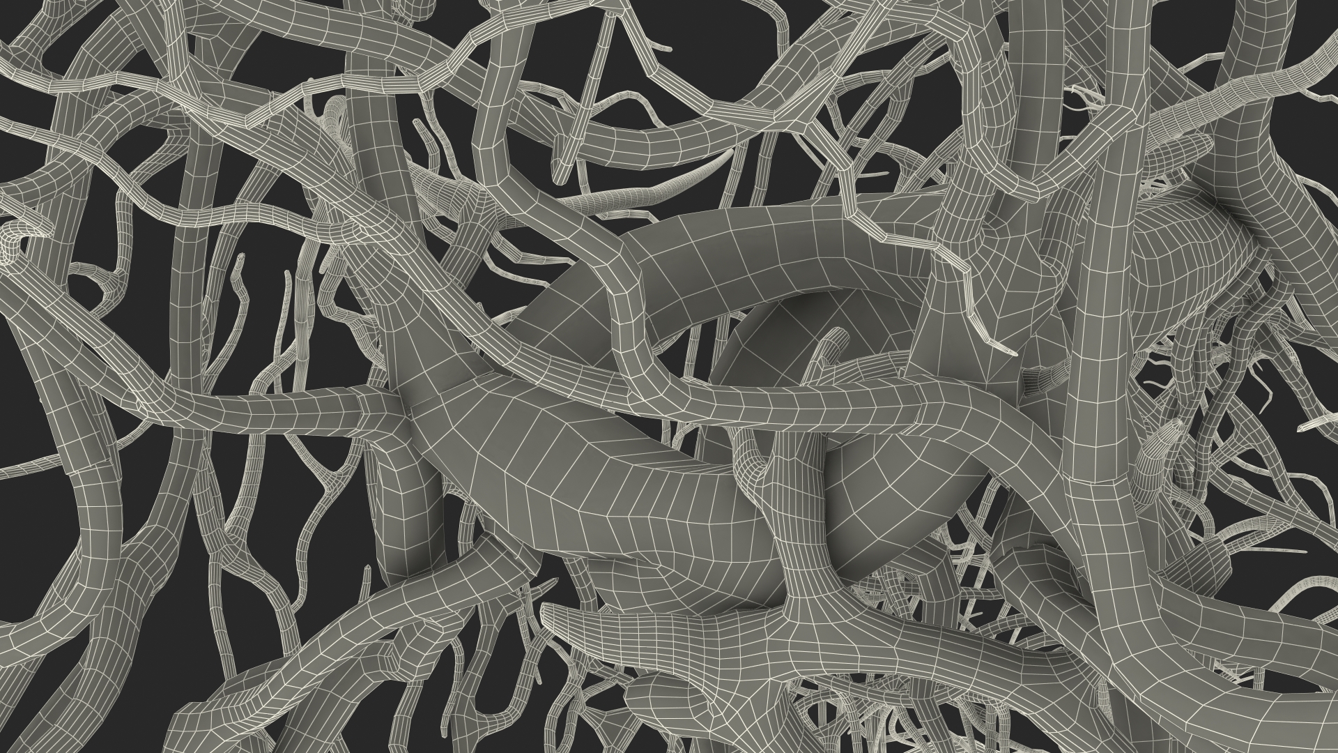 3D Frog Venous System model