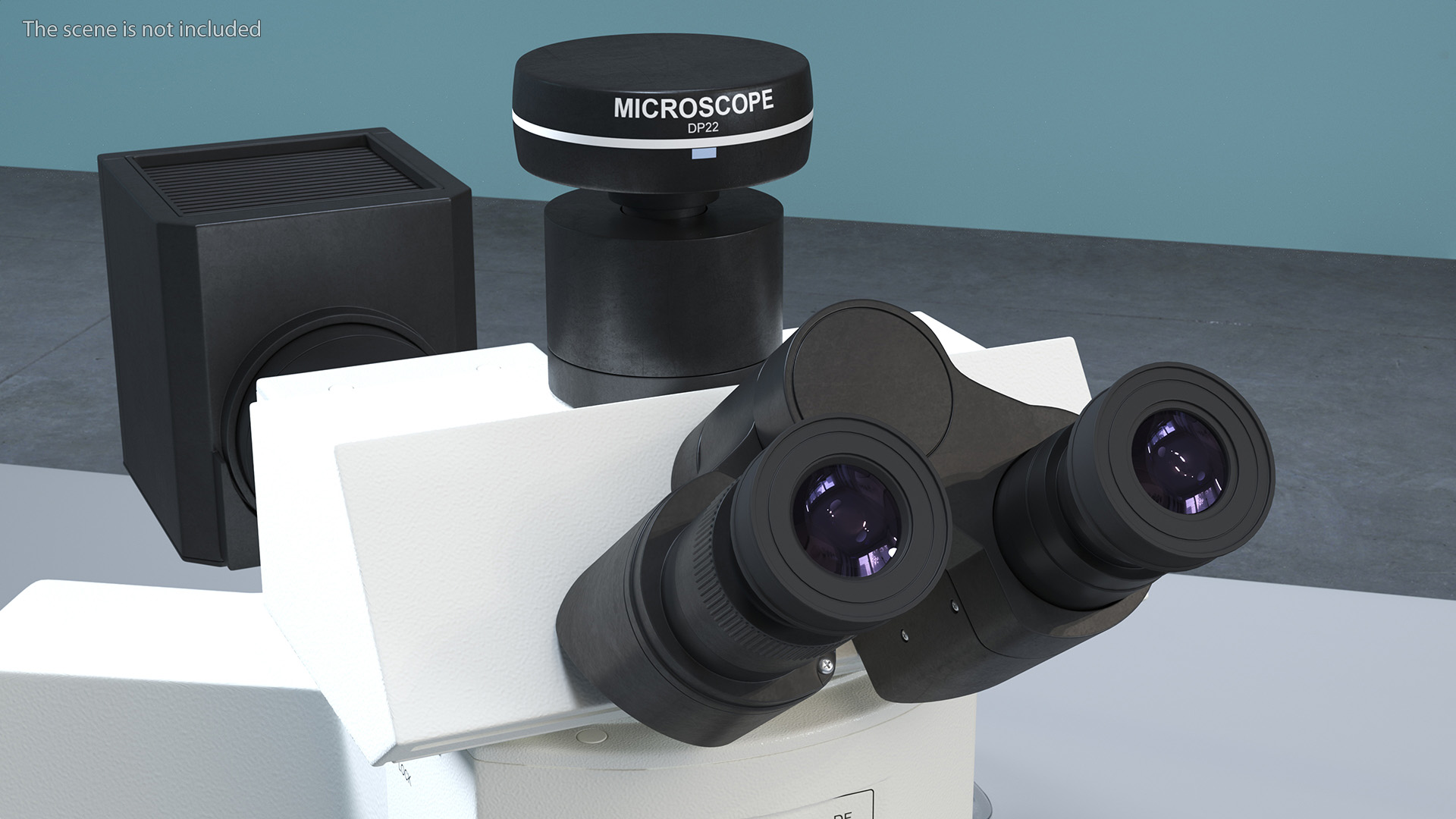 3D model Professional Trinocular Upright Fluorescence Microscope
