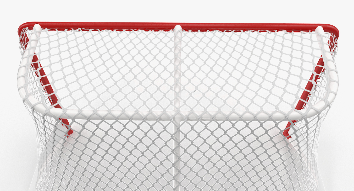 3D model Hockey Net