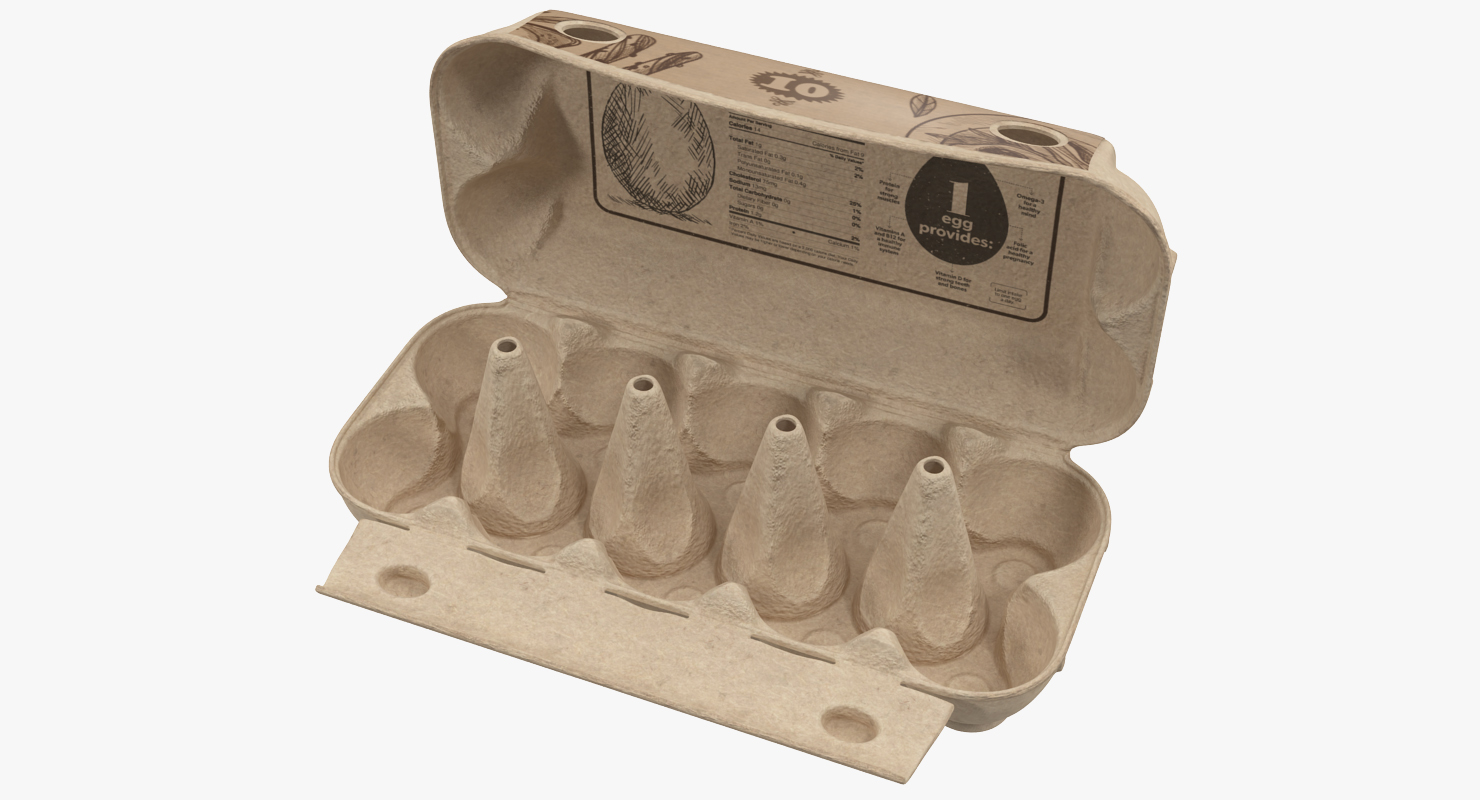 3D Open Ten Eggs Package