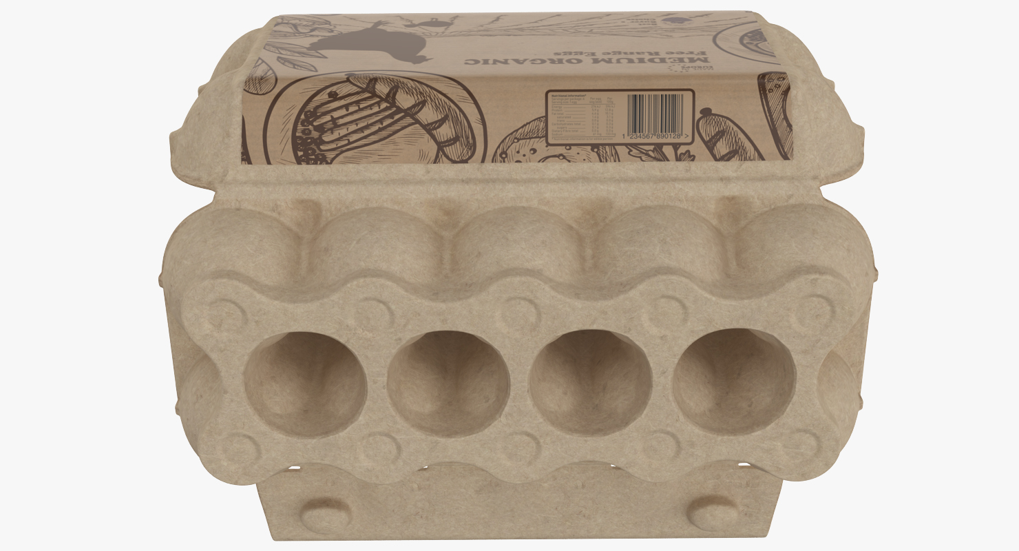 3D Open Ten Eggs Package